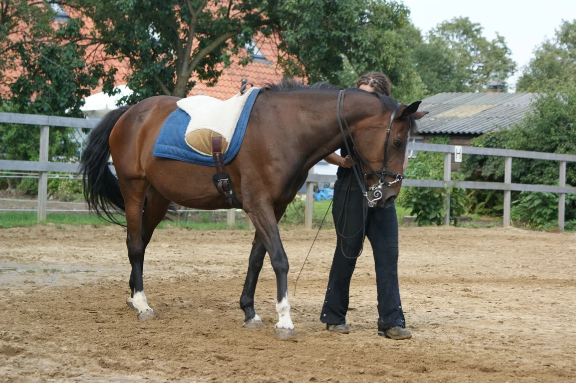 ivita-handwerk.jpg