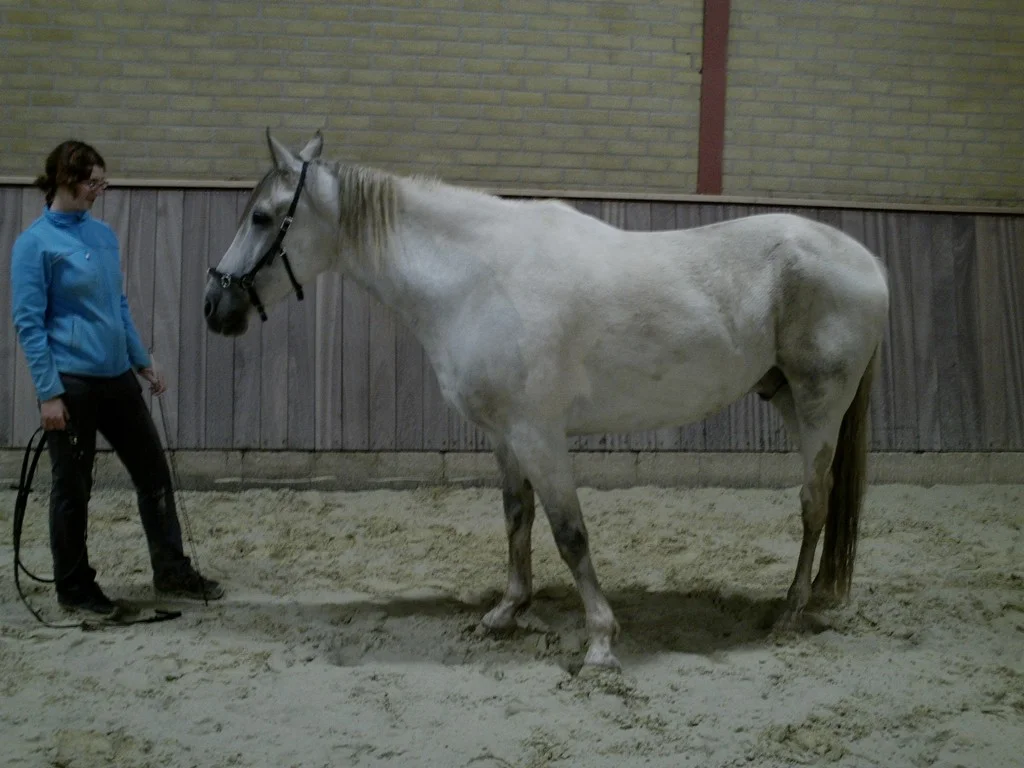 Shanti bij aanvang behandeling
