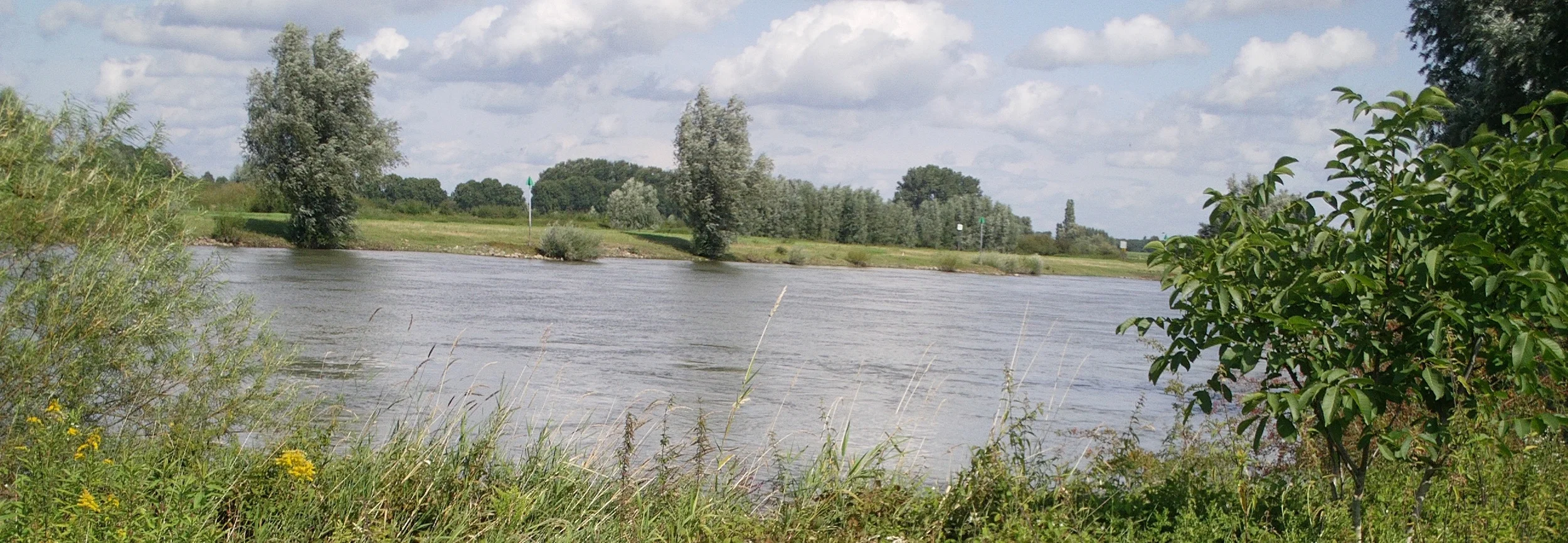 ijssel yelena.JPG