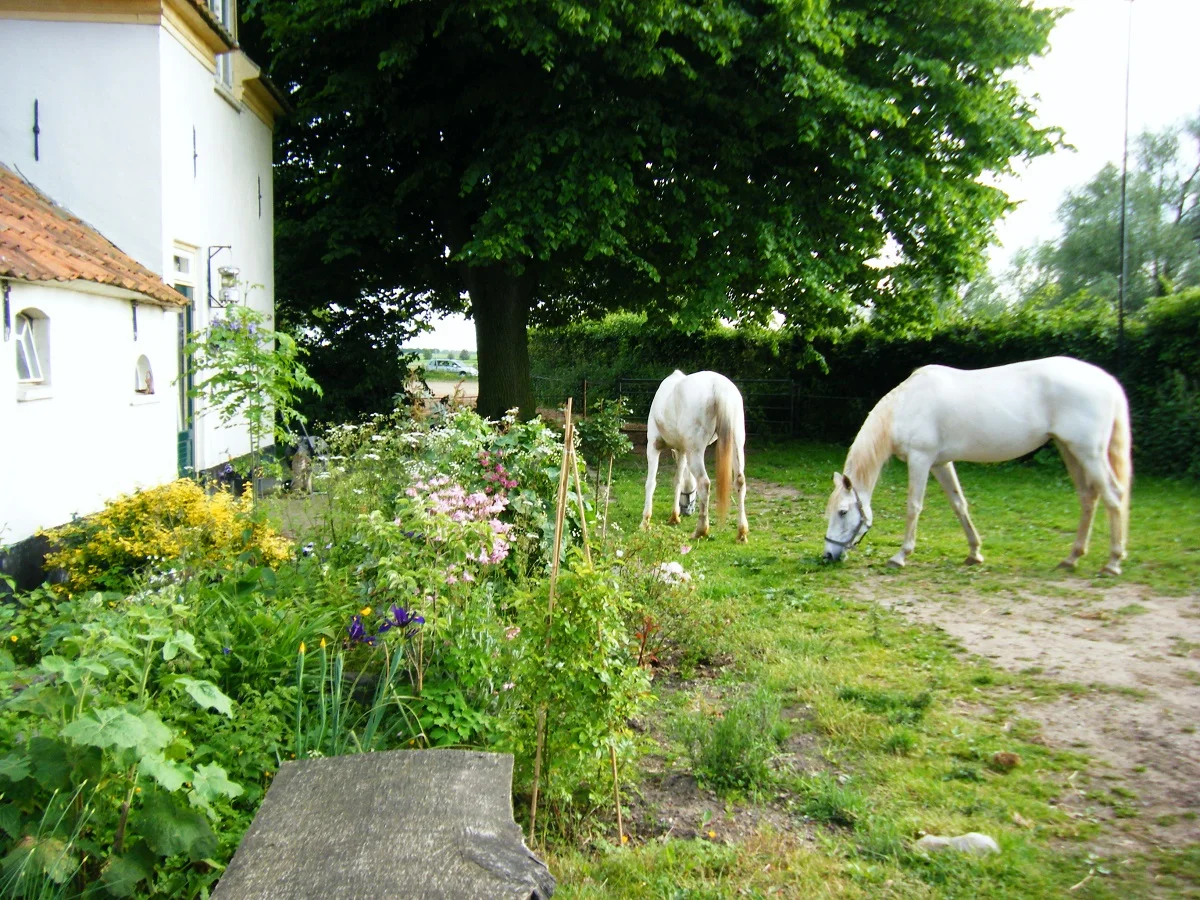 DSCF7204.jpg