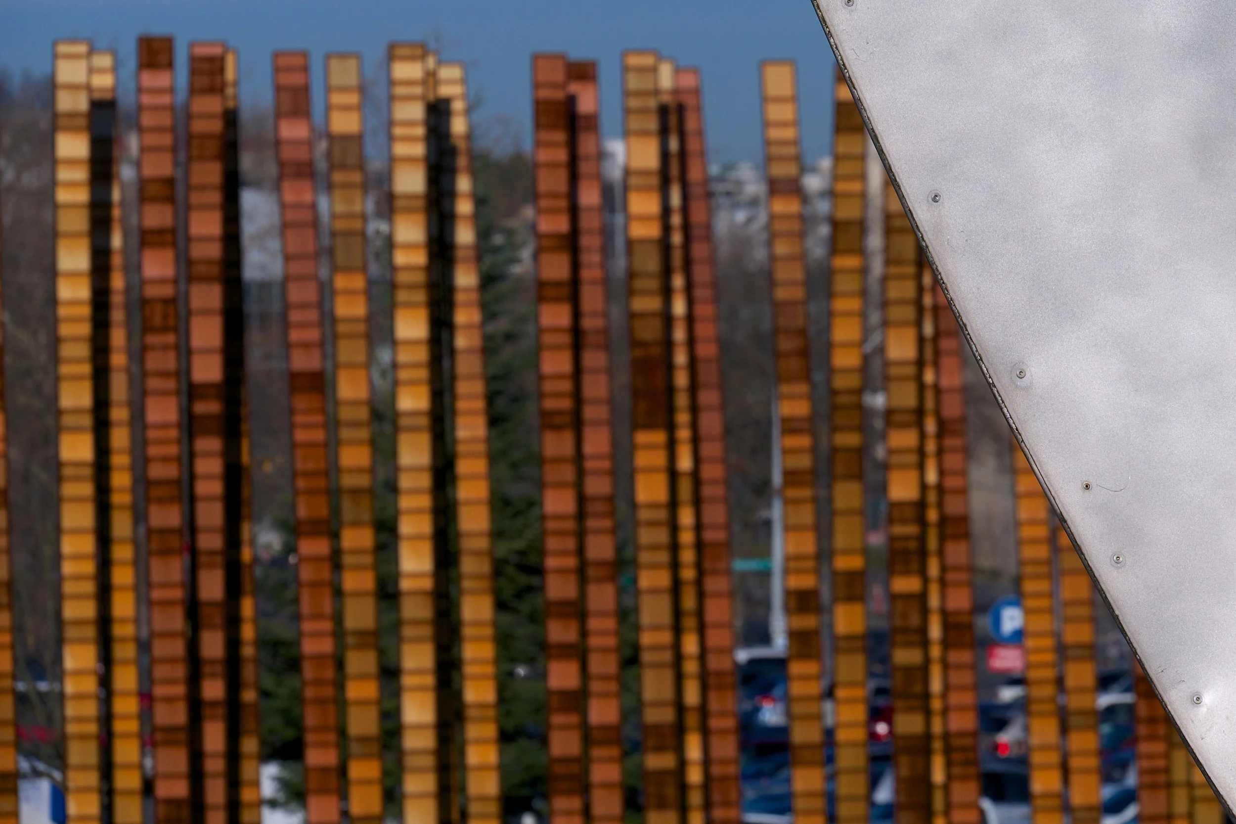 Bamboo Forest and Experience Music Project, 100mm, f/8, 1/2000, ISO 200