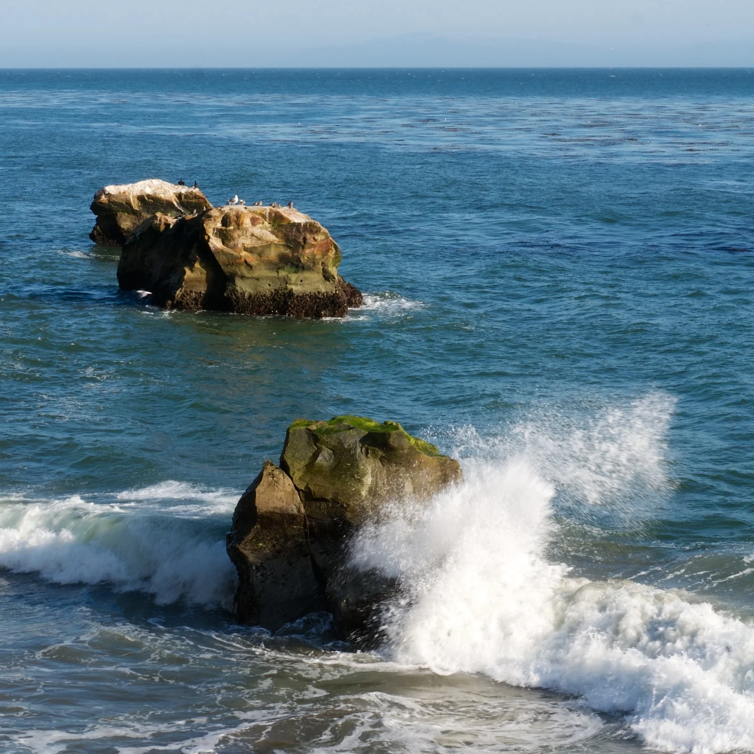 Santa Cruz, 22-Sep-2014