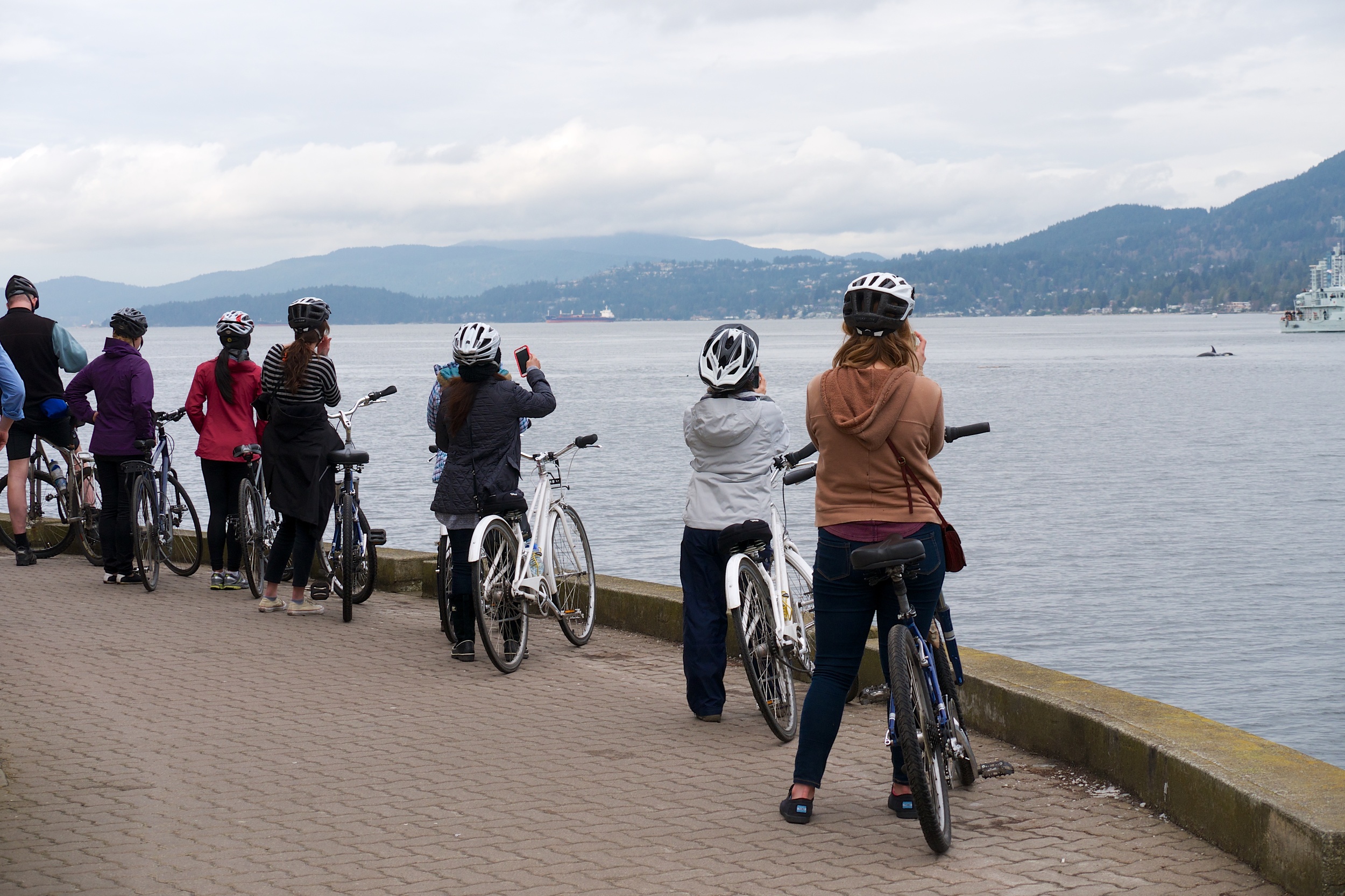 Bikers taking pictures of the orcas