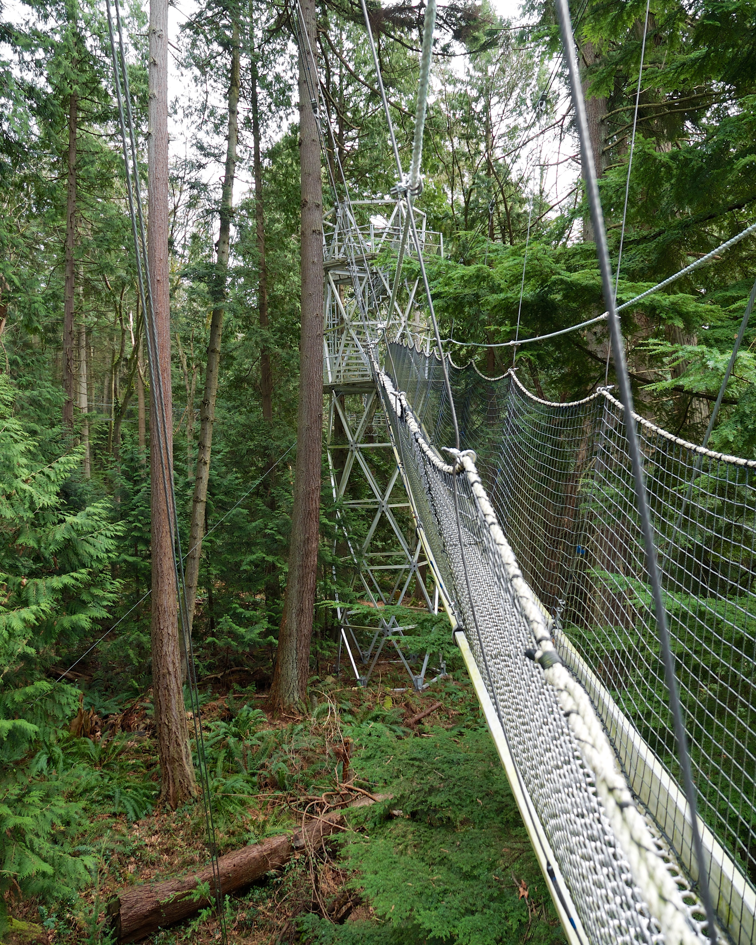 Walkway coming off the tower