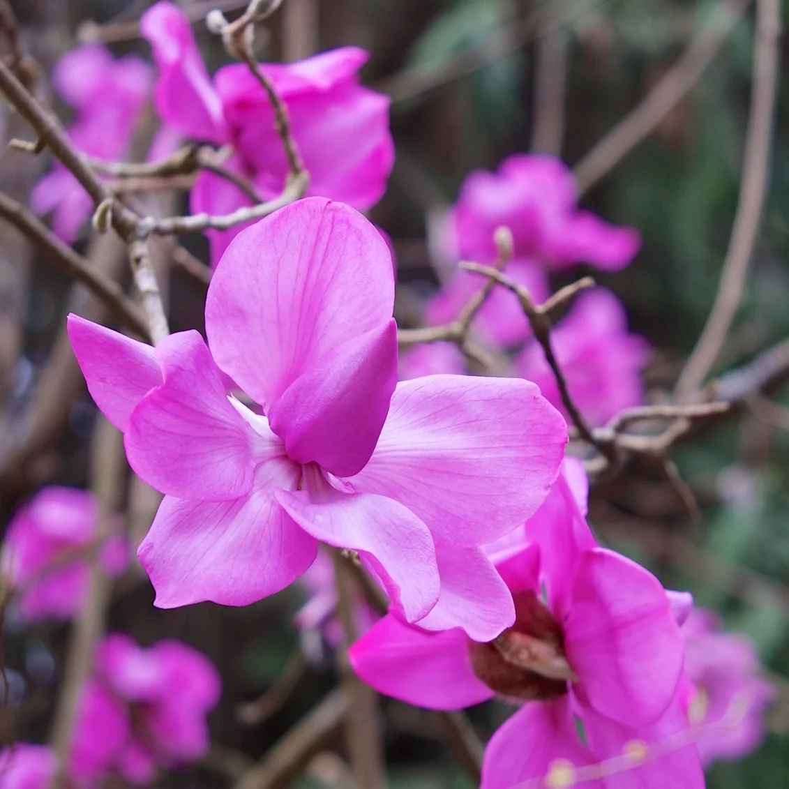 Vancouver, 13-March 2015