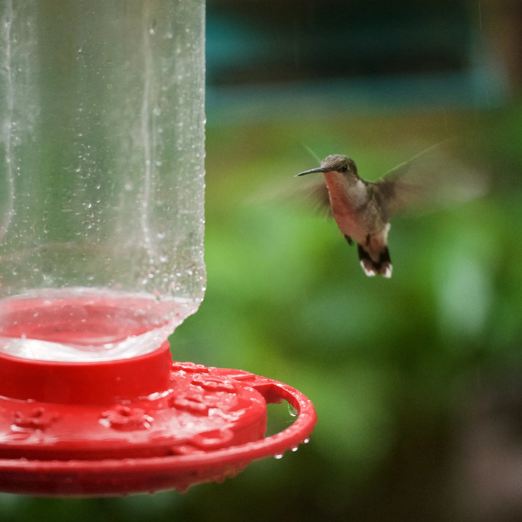 26-Jun, Winkle Family Reunion