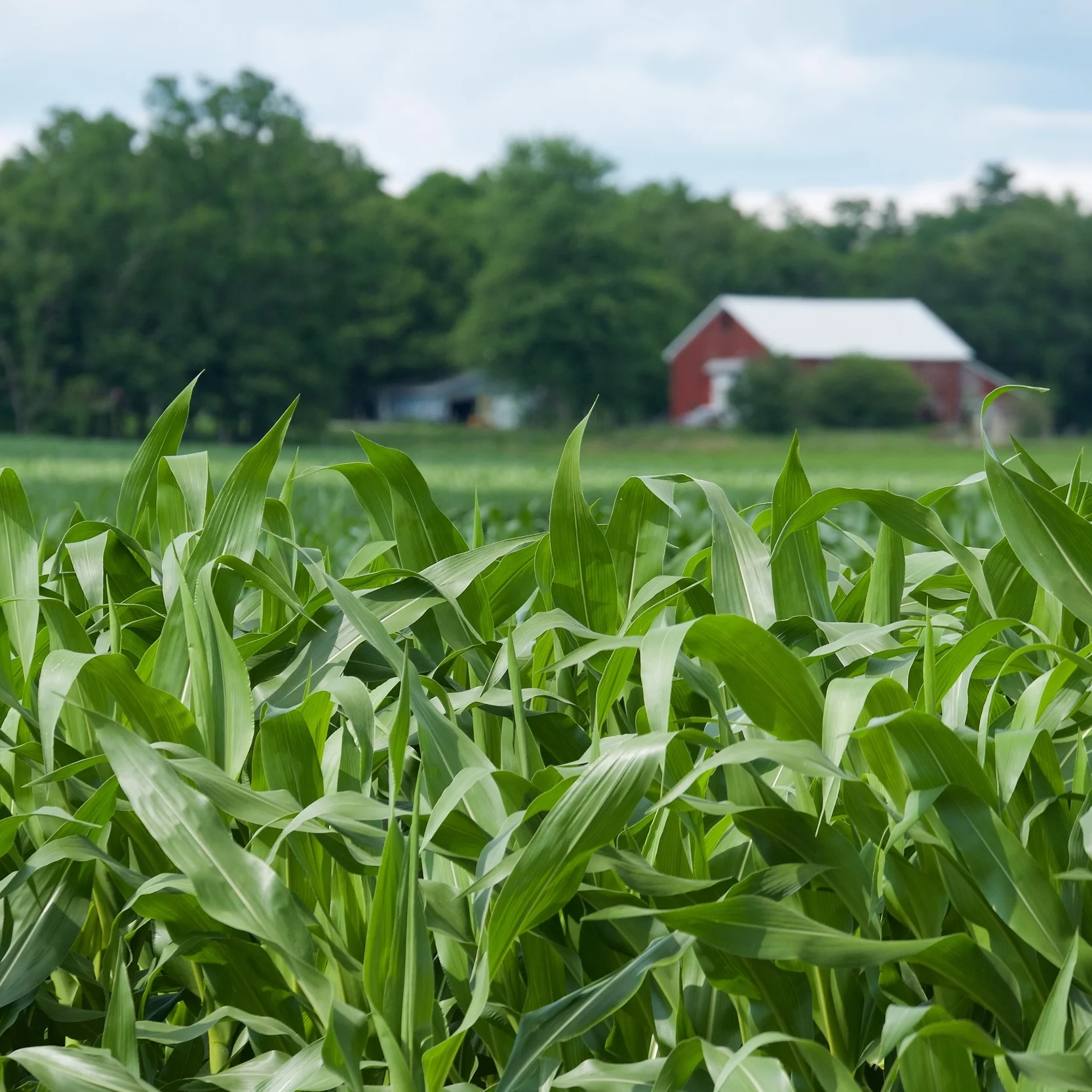 27-Jun, Winkle Family Reunion