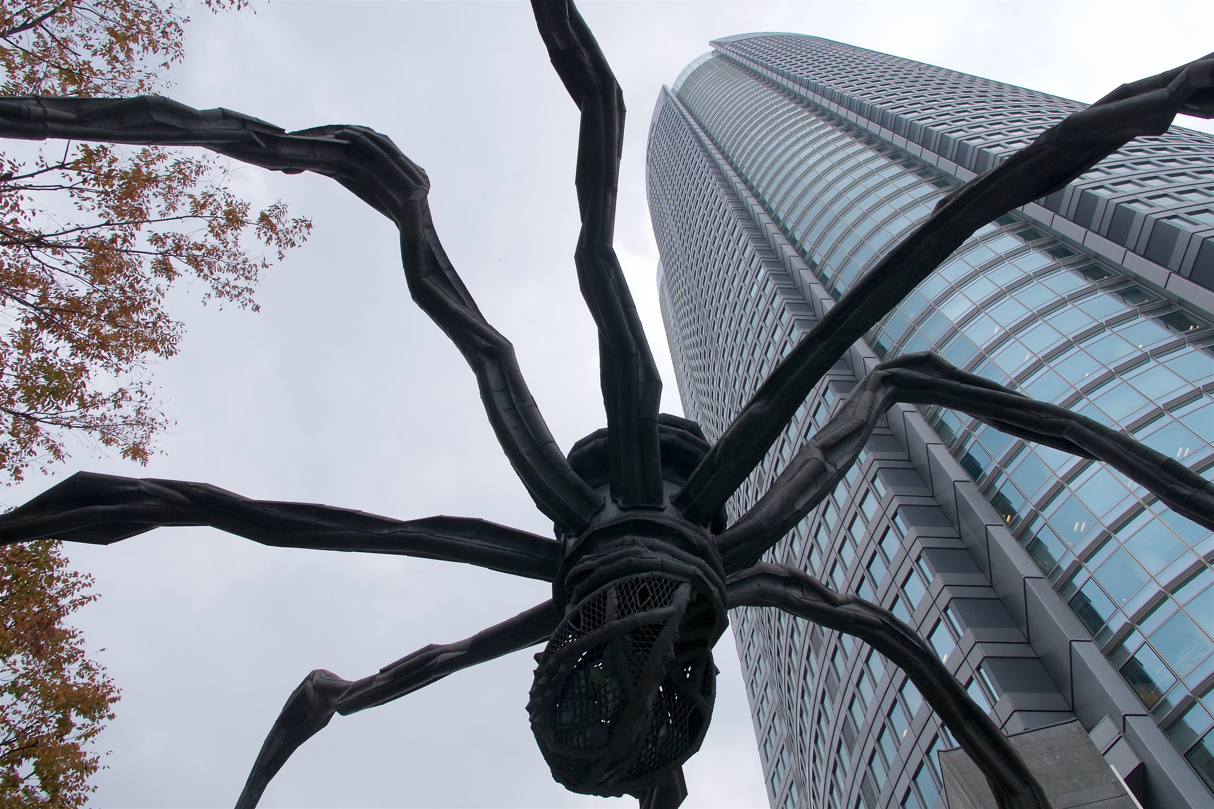  This spider sculpture, Maman, covers a big section of the Roppongi HIlls plaza 
