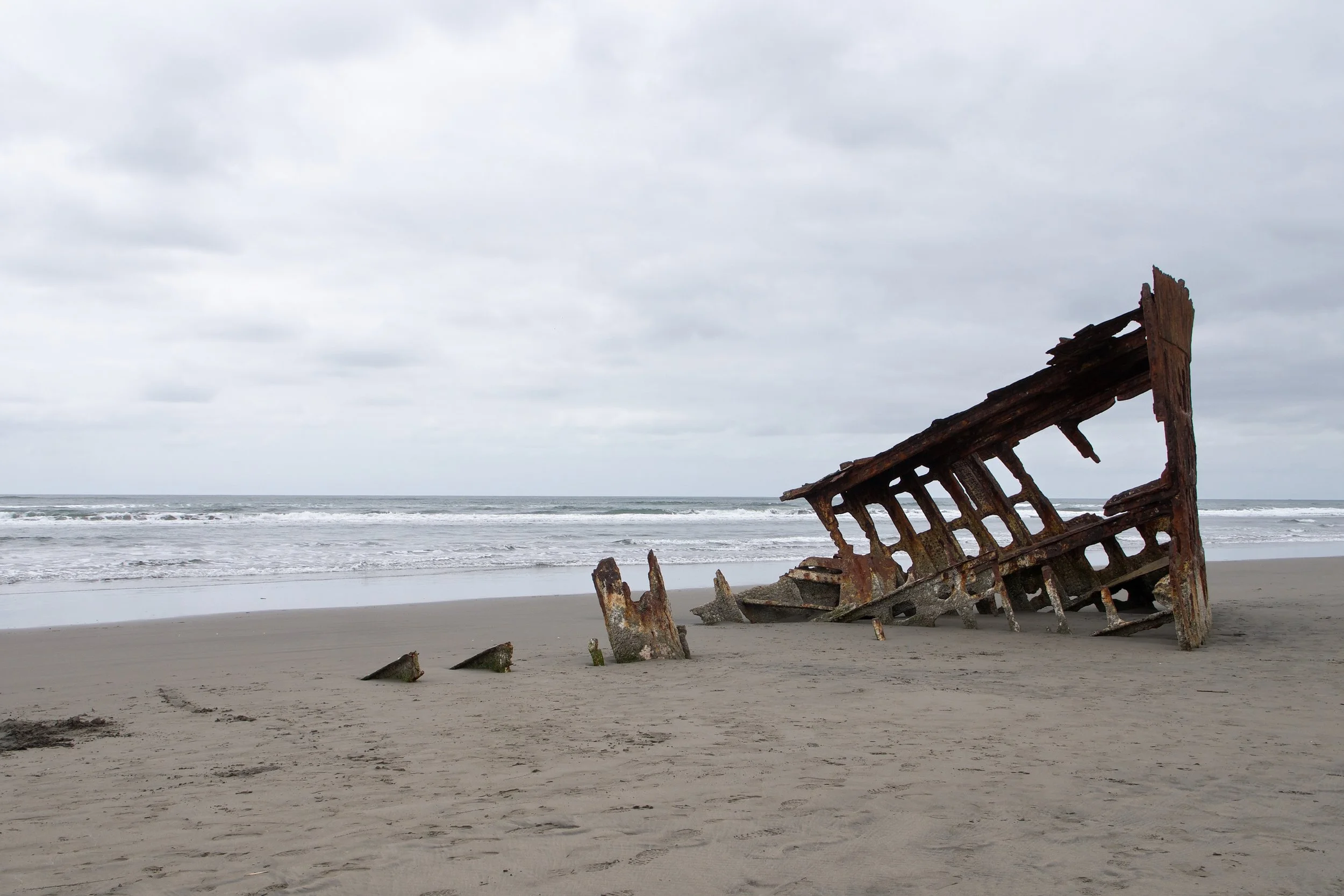 Oregon Coast Thursday 2 May 2019 Fujimoto Potpourri