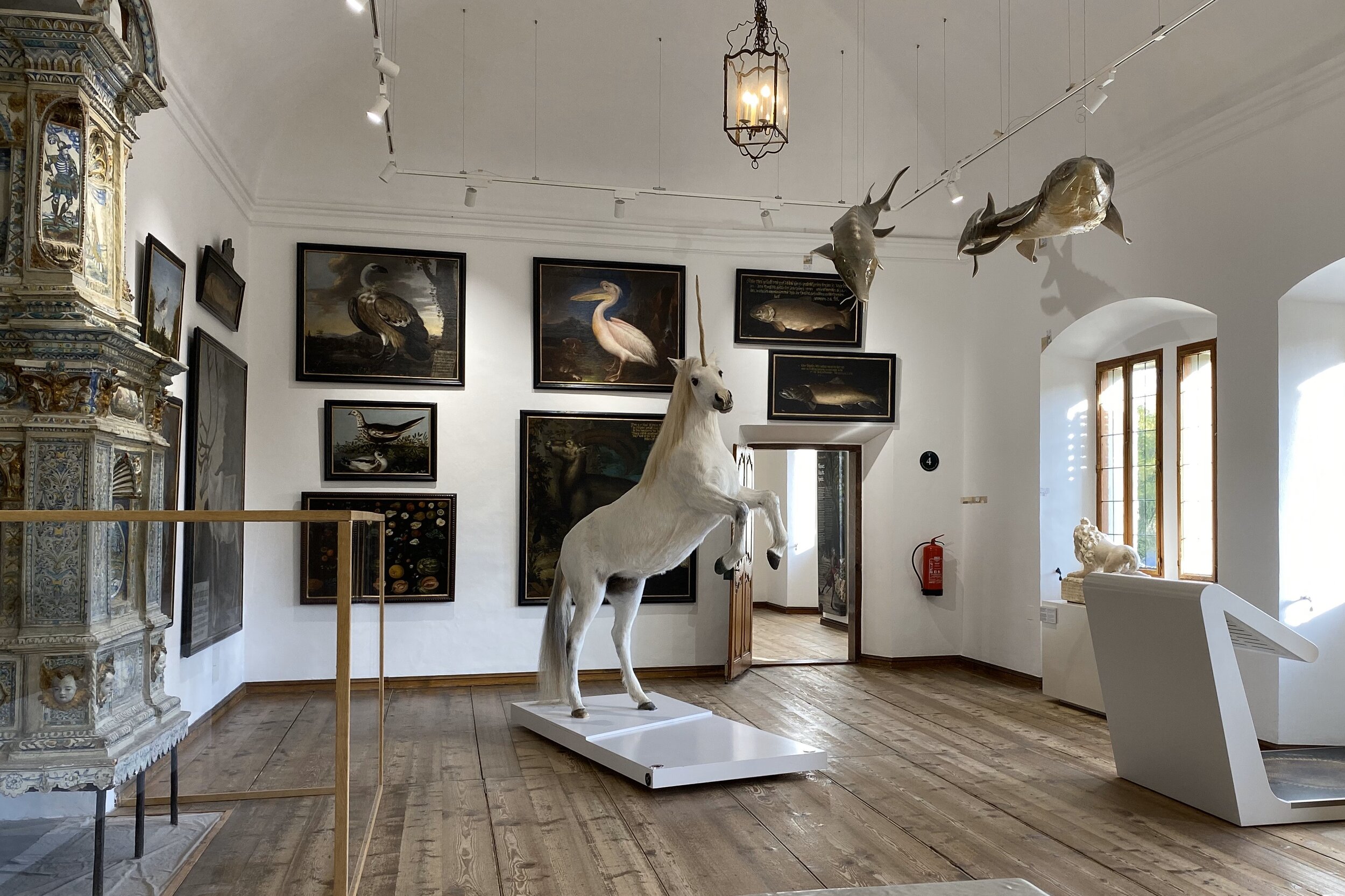  Yeah, that’s a unicorn; a sturgeon hangs from the ceiling 