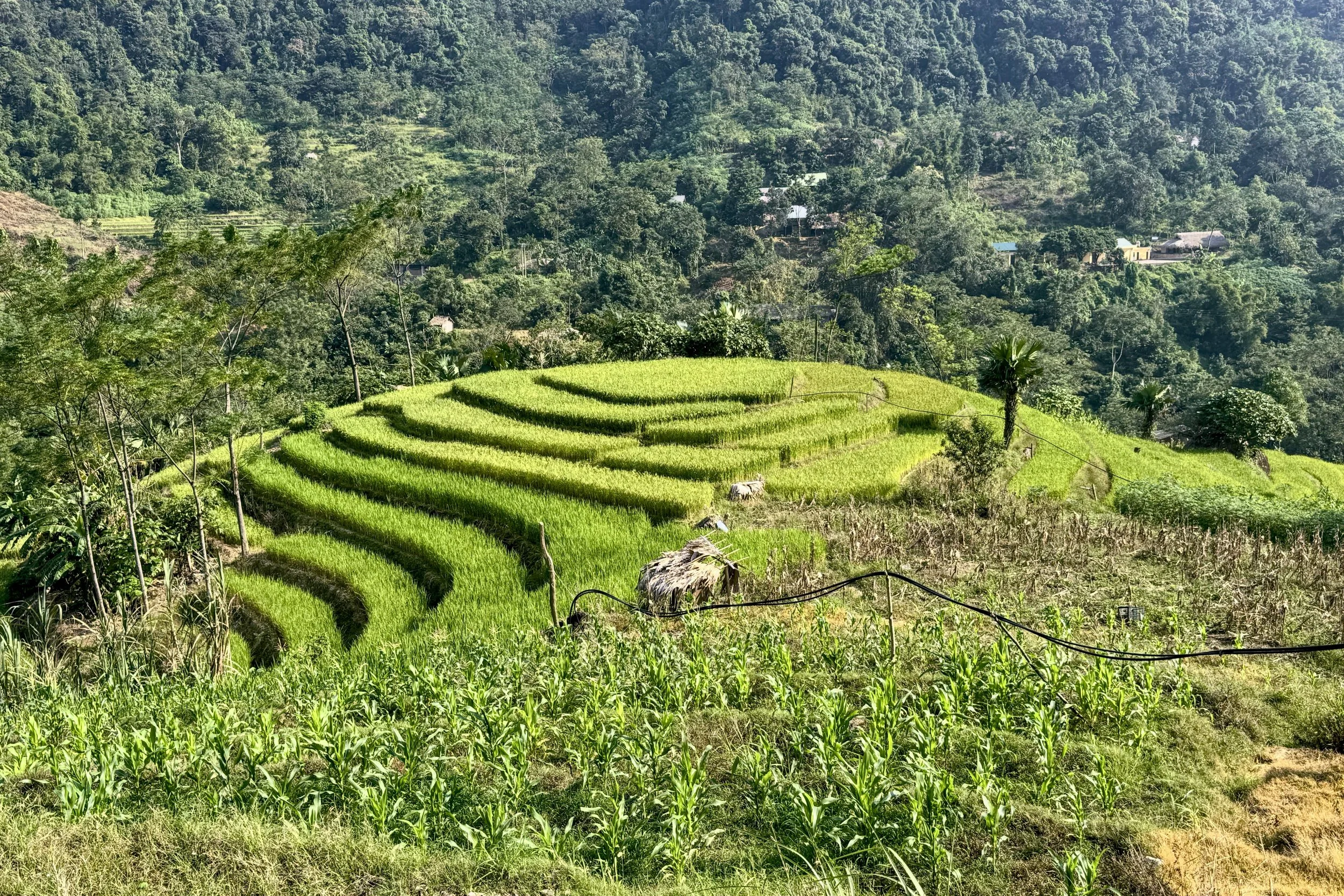 October 8, Da Bac to Hanoi, Vietnam