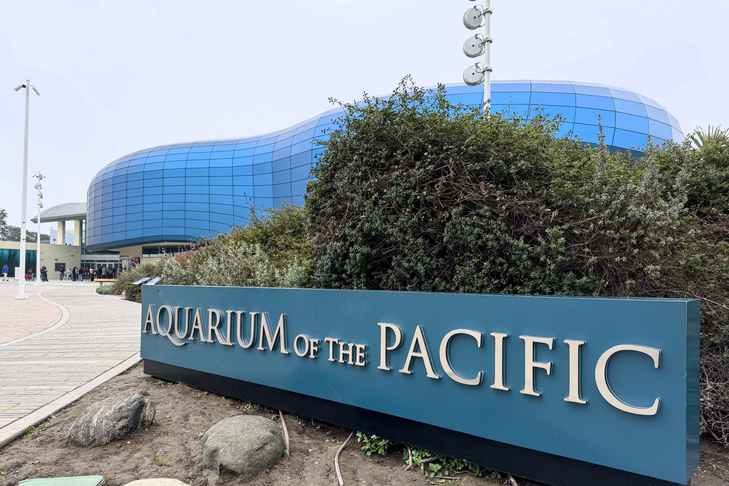 Aquarium entrance