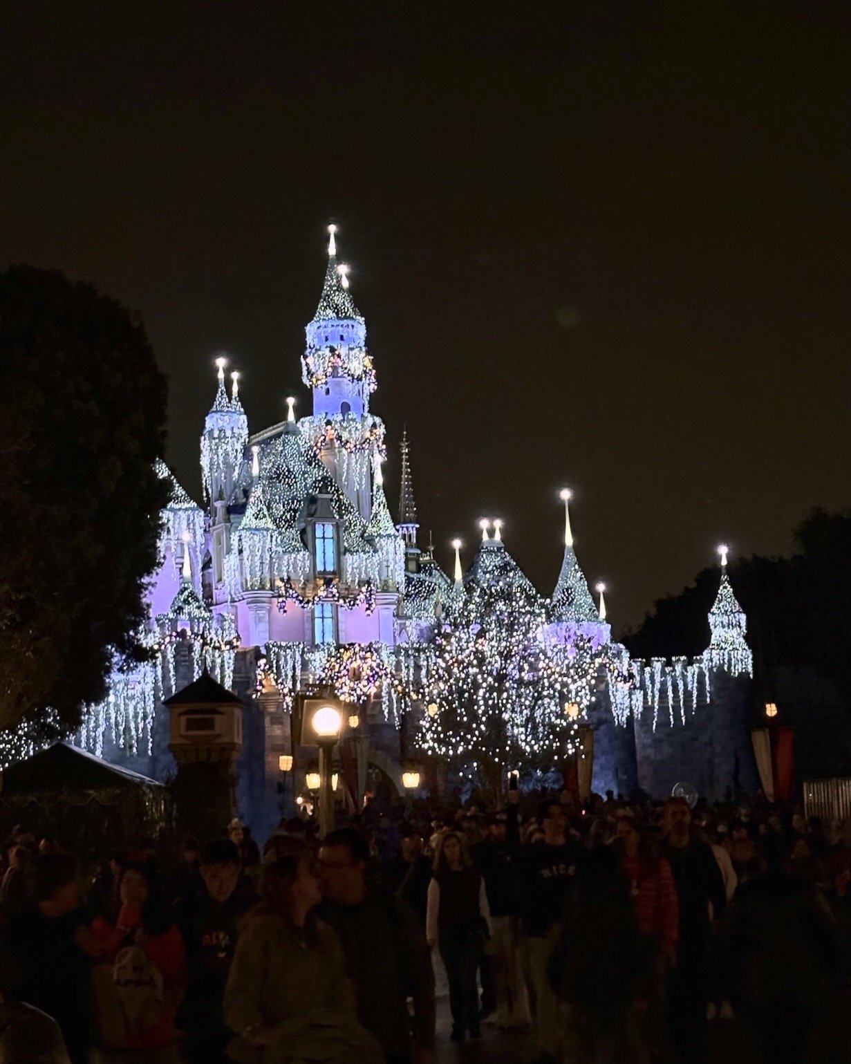 Sleeping Beauty castle