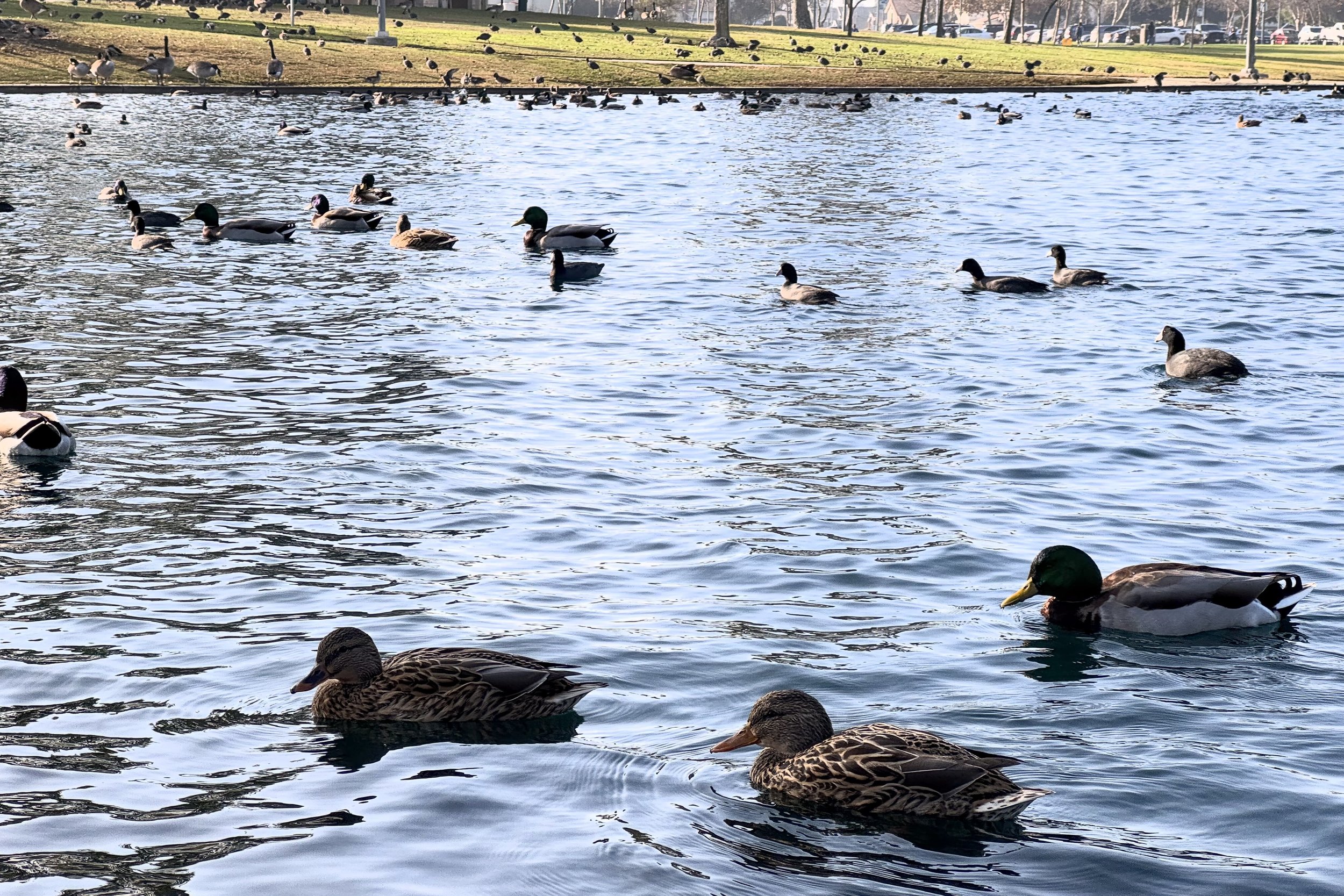 Don Knabe Regional Community Park