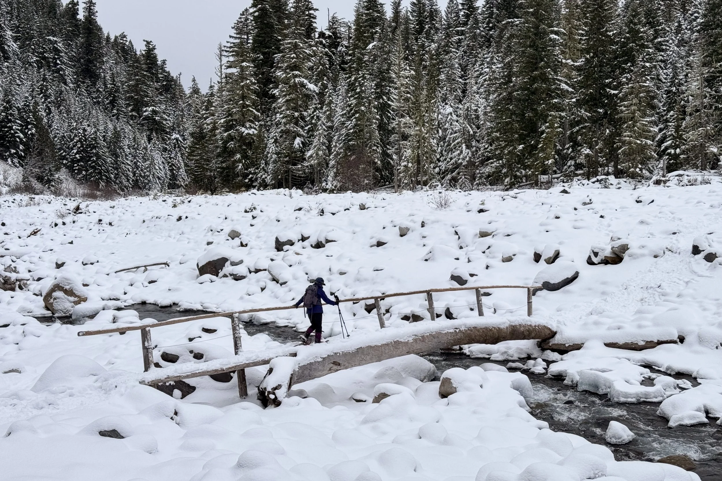 Mt. Rainier, February 2025