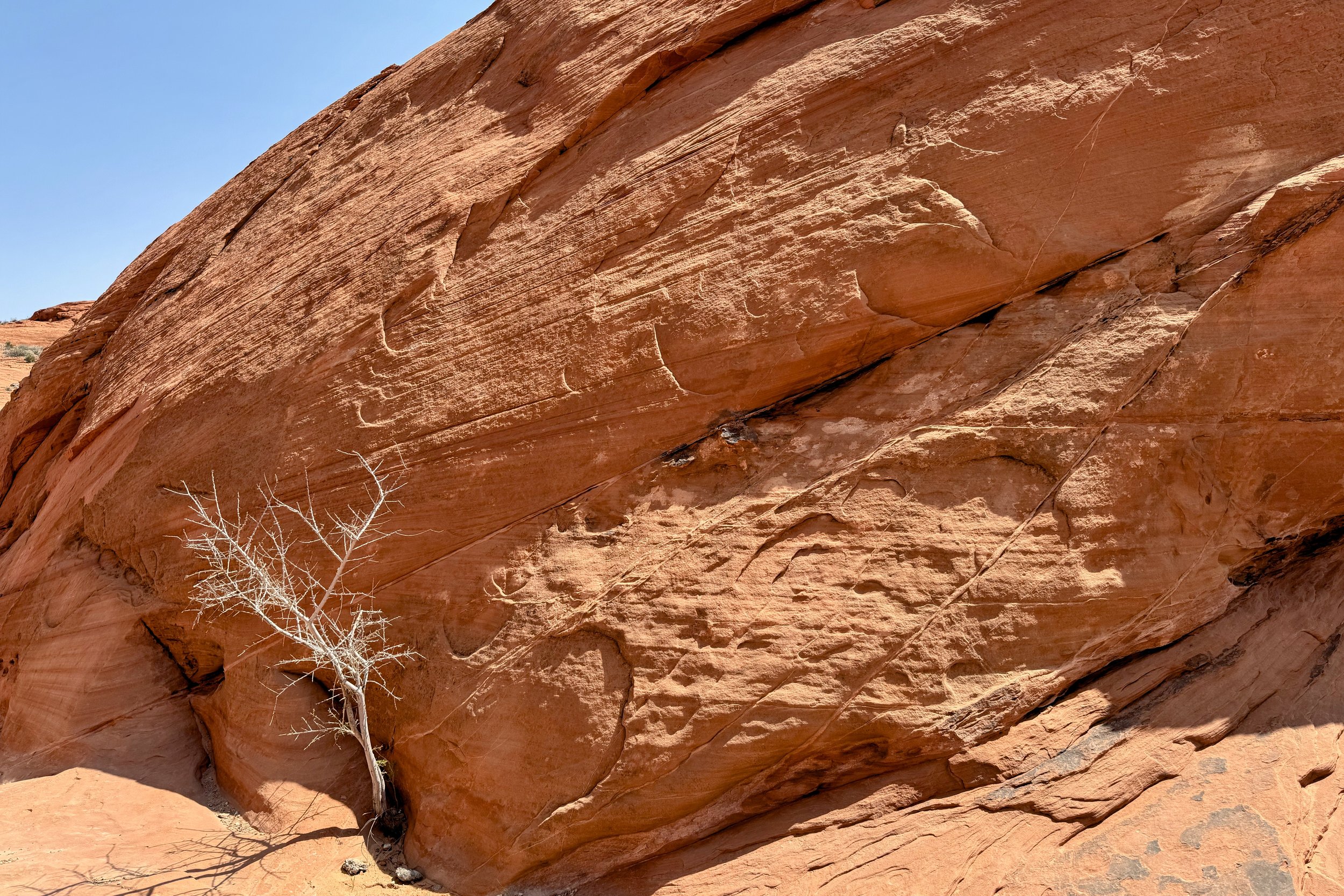 White Domes trail