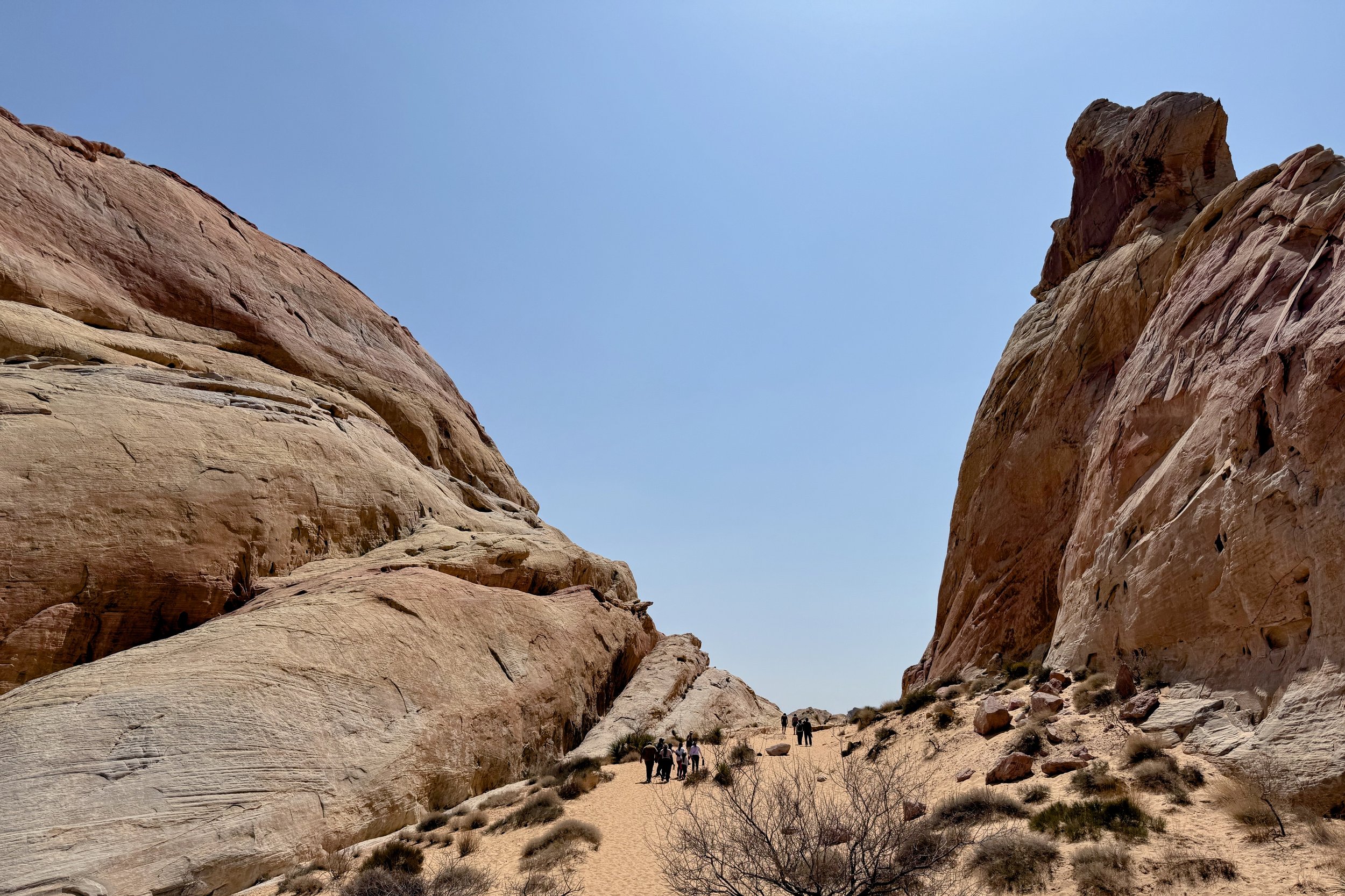 White Domes trail