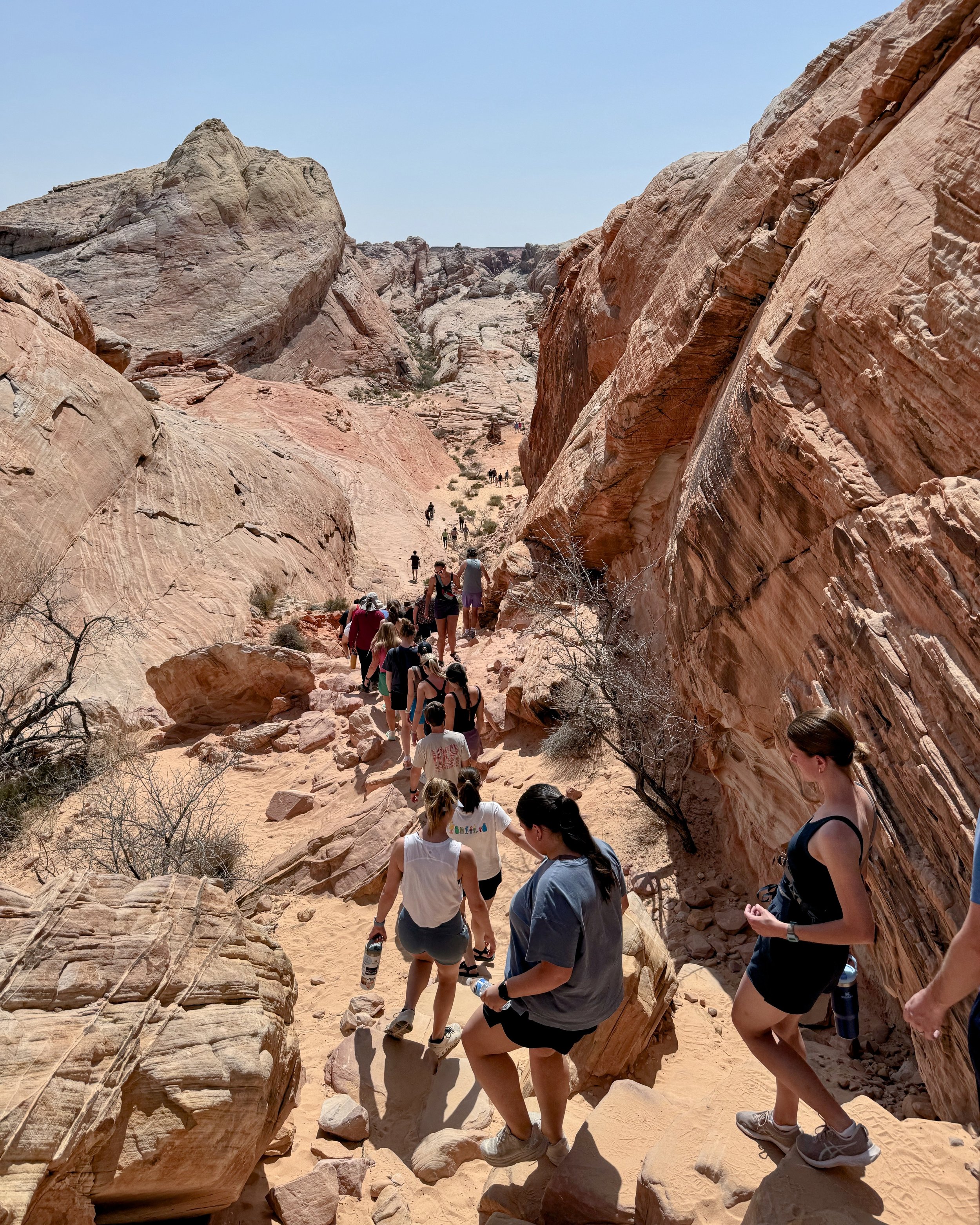 White Domes trail