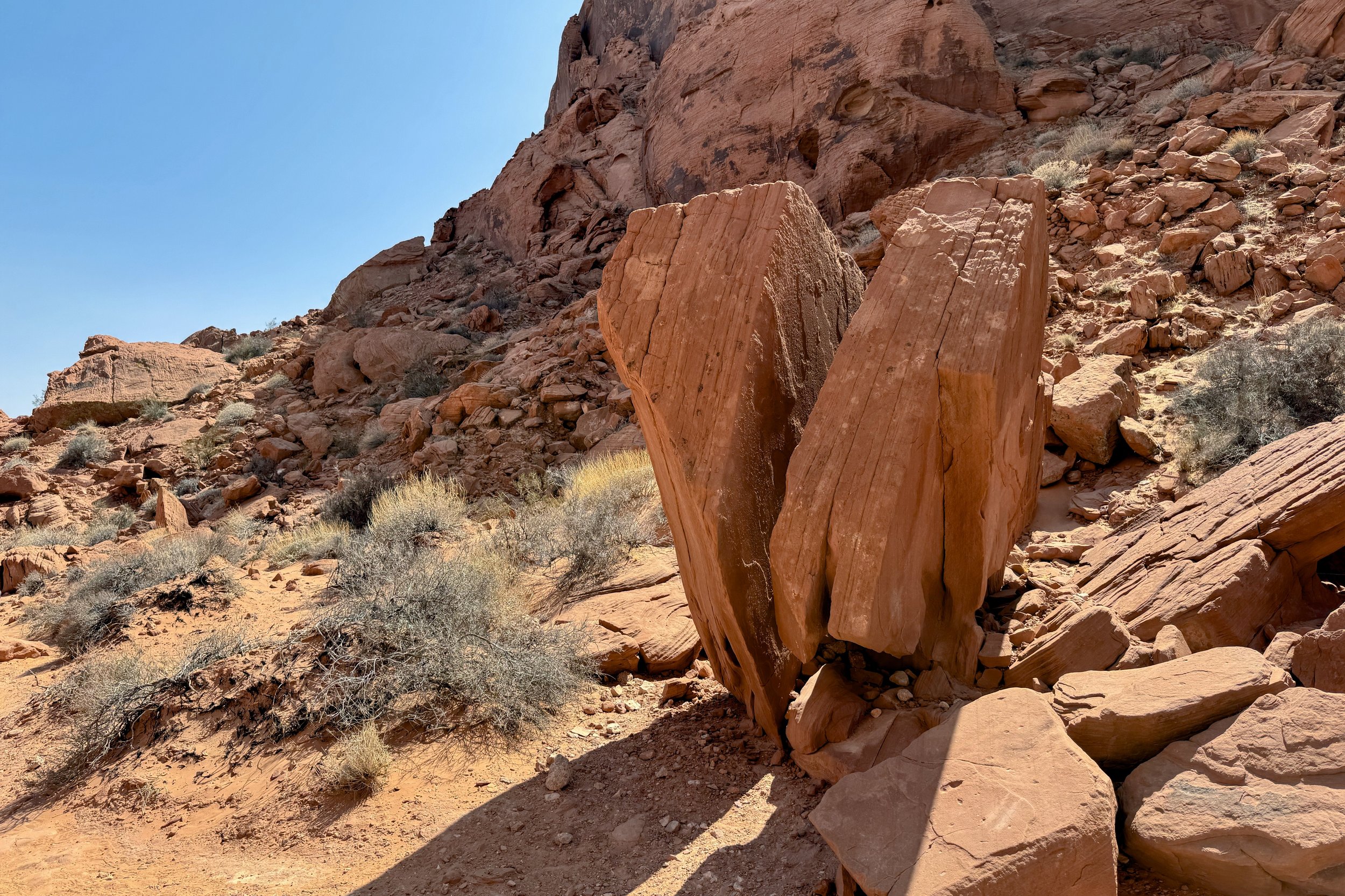 Rainbow Vista trail