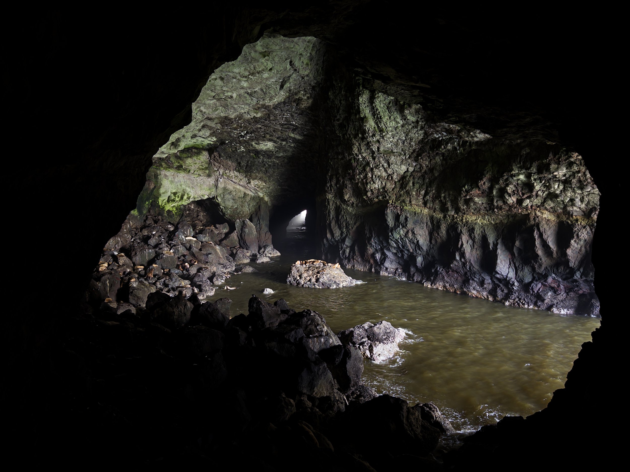 Sea Lion cave