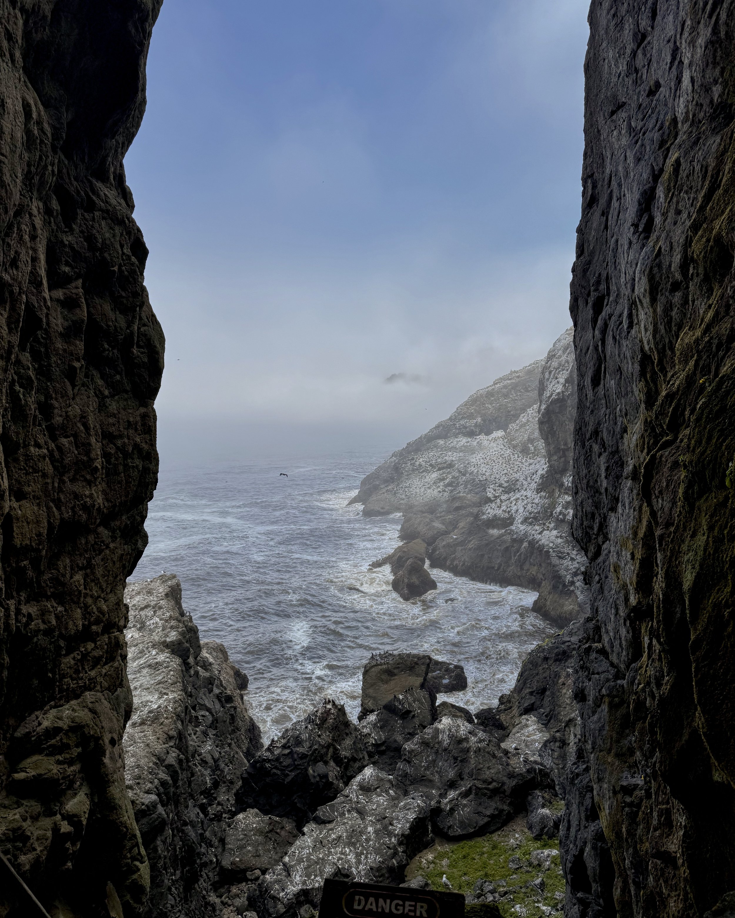 View toward Heceta Head Lighthouse