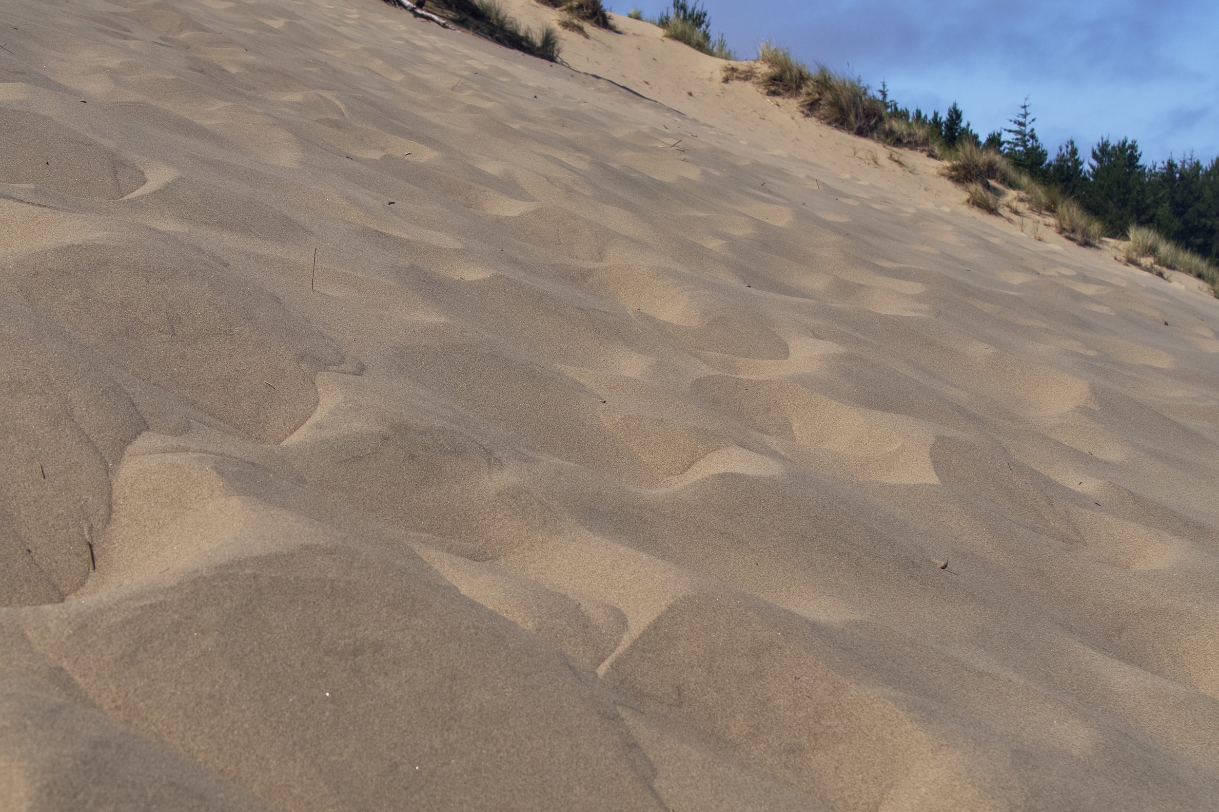 Footsteps in the sand