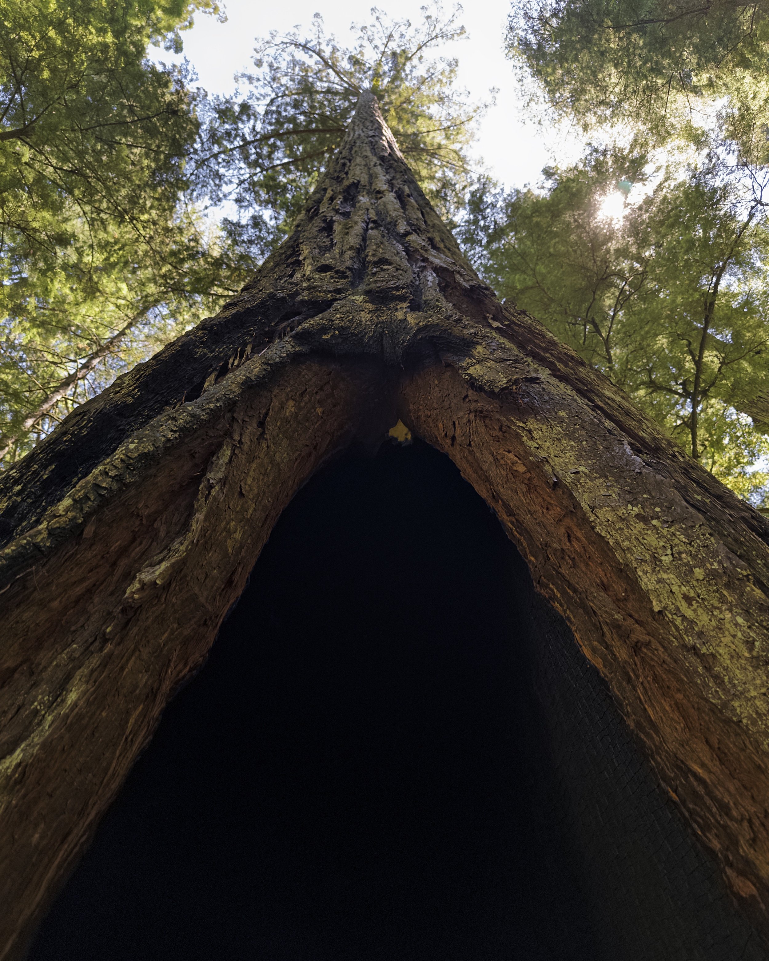Hatton Trail