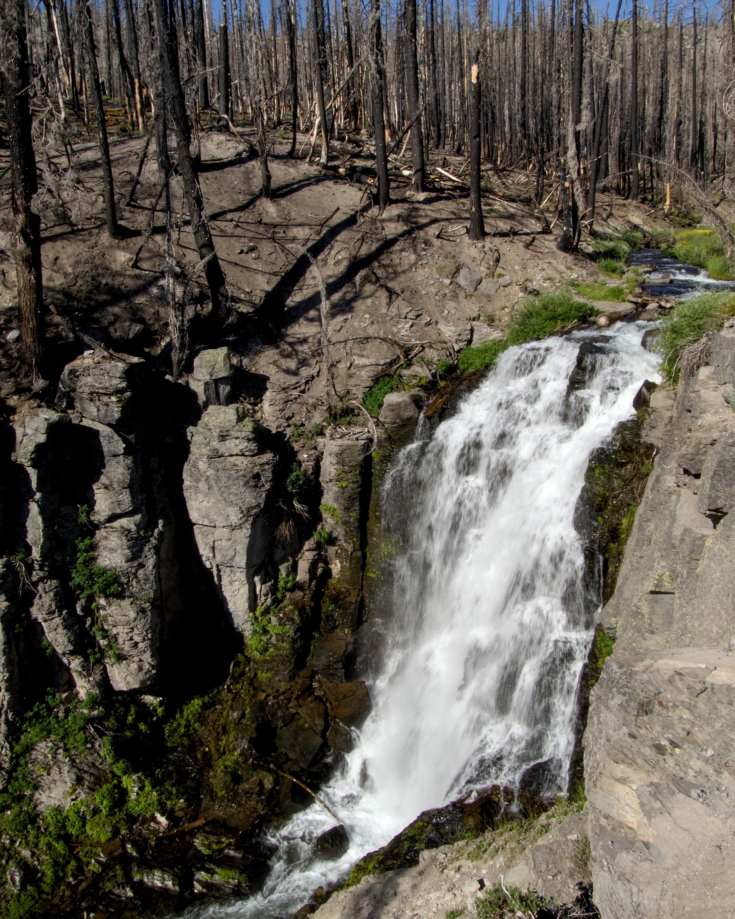 King's Creek Falls