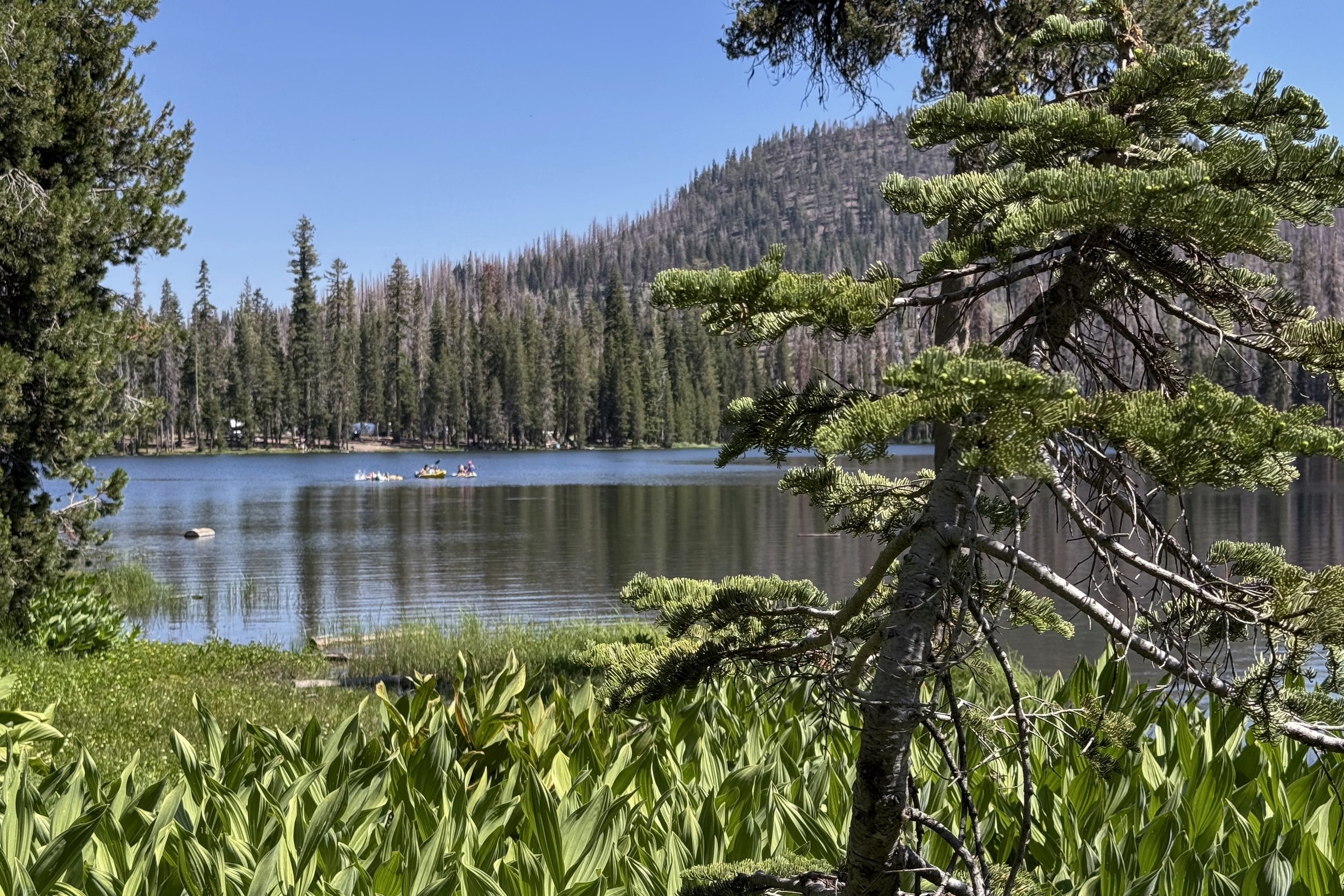 Lunch at Summit Lake