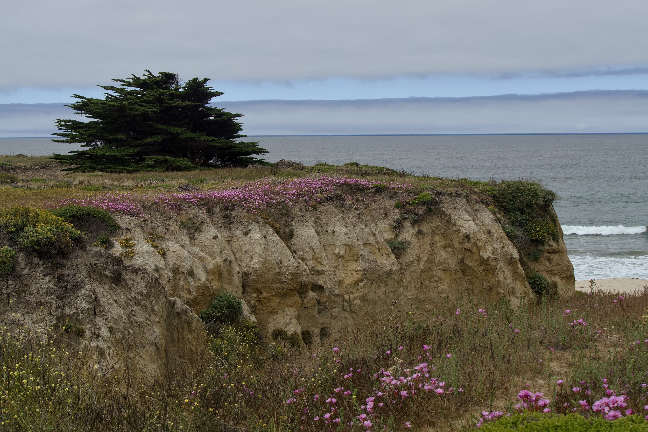 Half Moon Bay