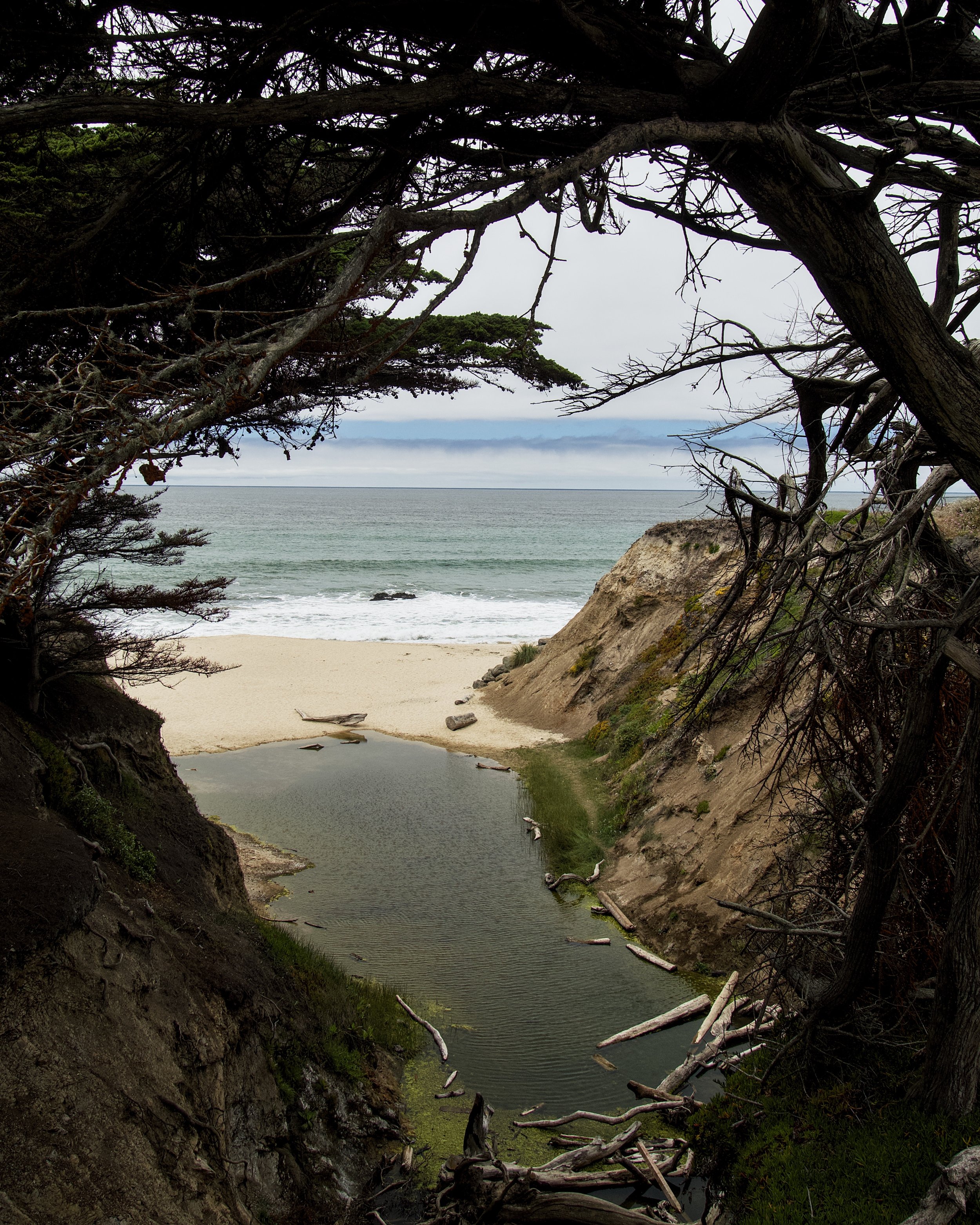 Canada Verde Creek, Manhattan Beach