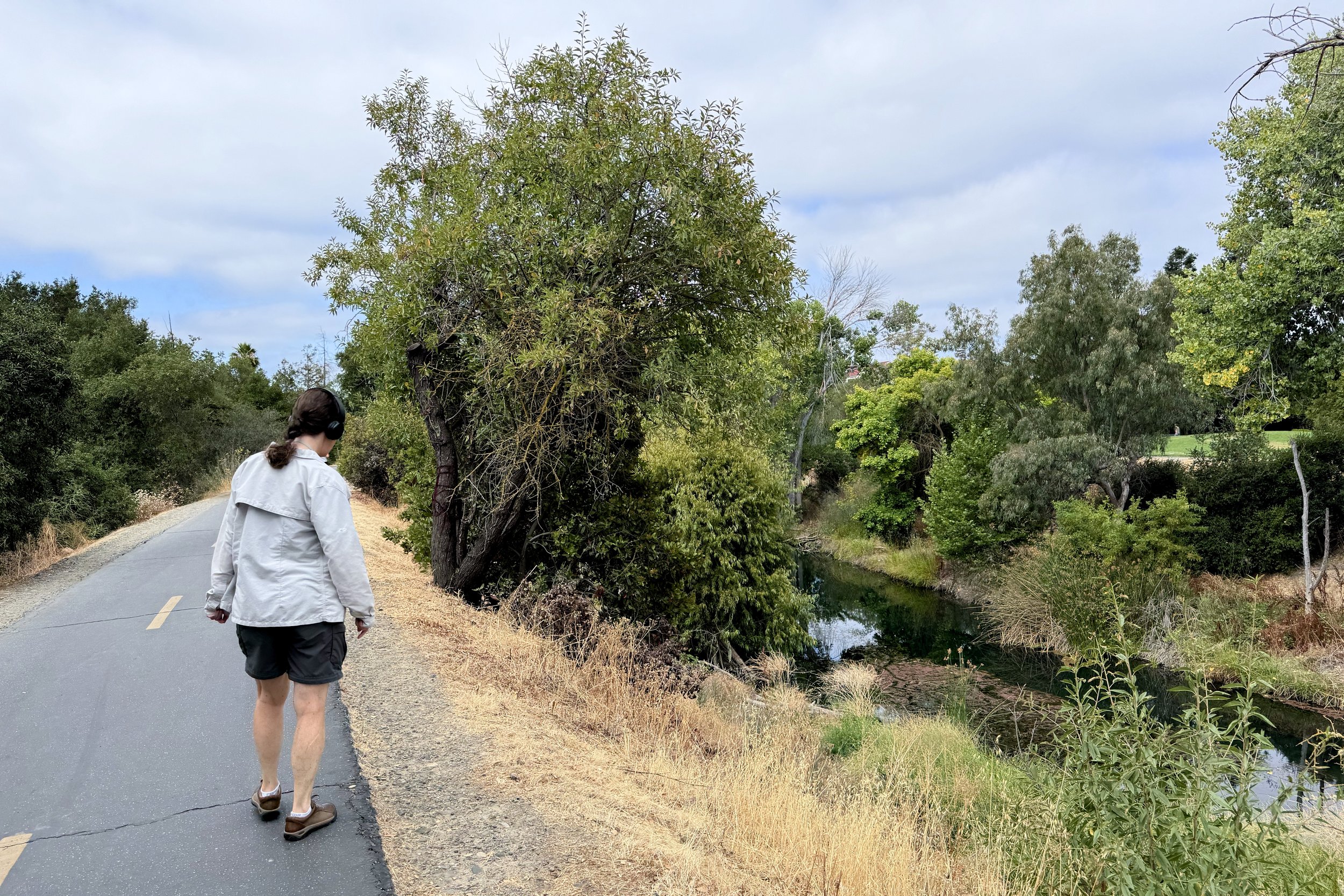 Walking along Los Gatos Creek