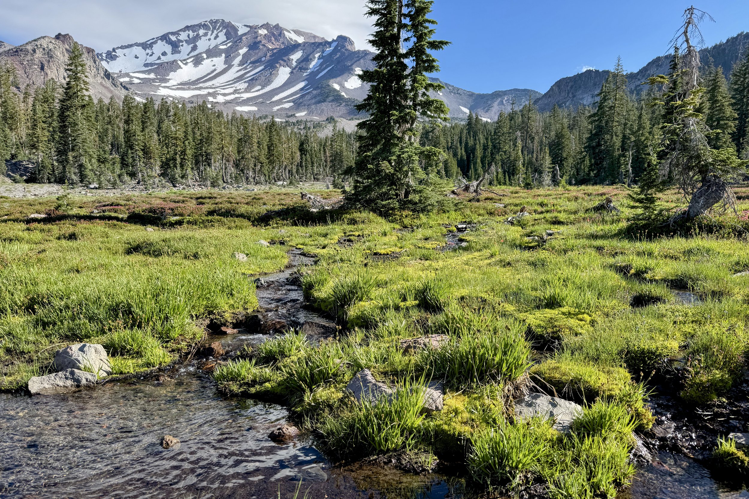 Panther Meadows