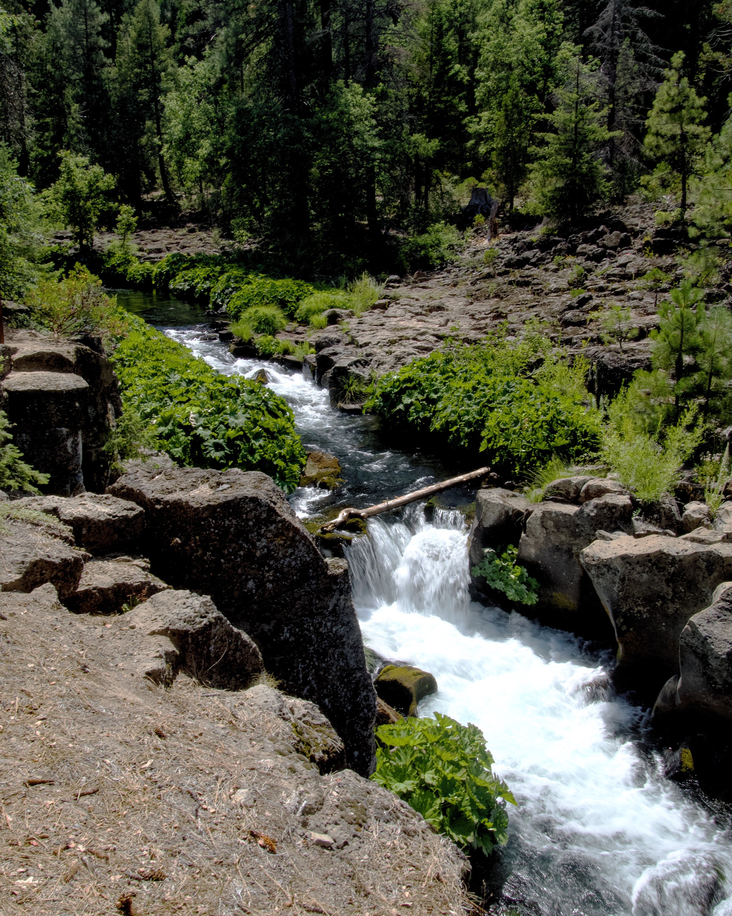 McCloud River