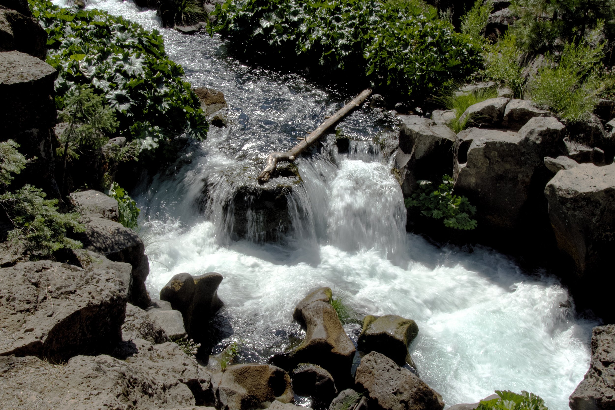 McCloud River