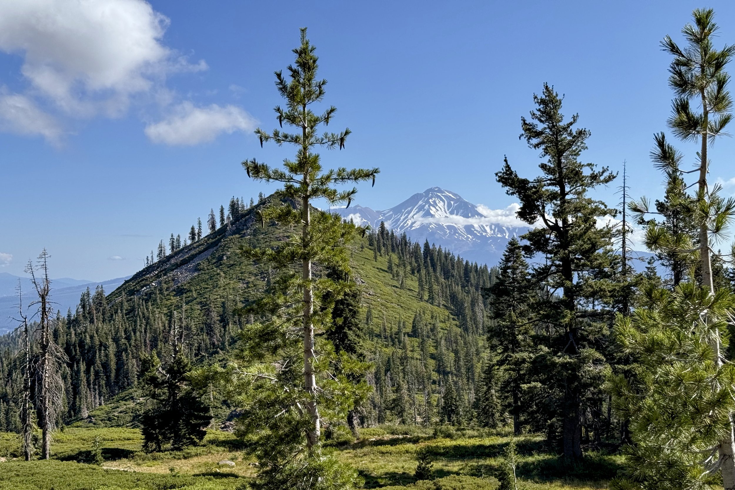 Black Butte, Mt. Shasta