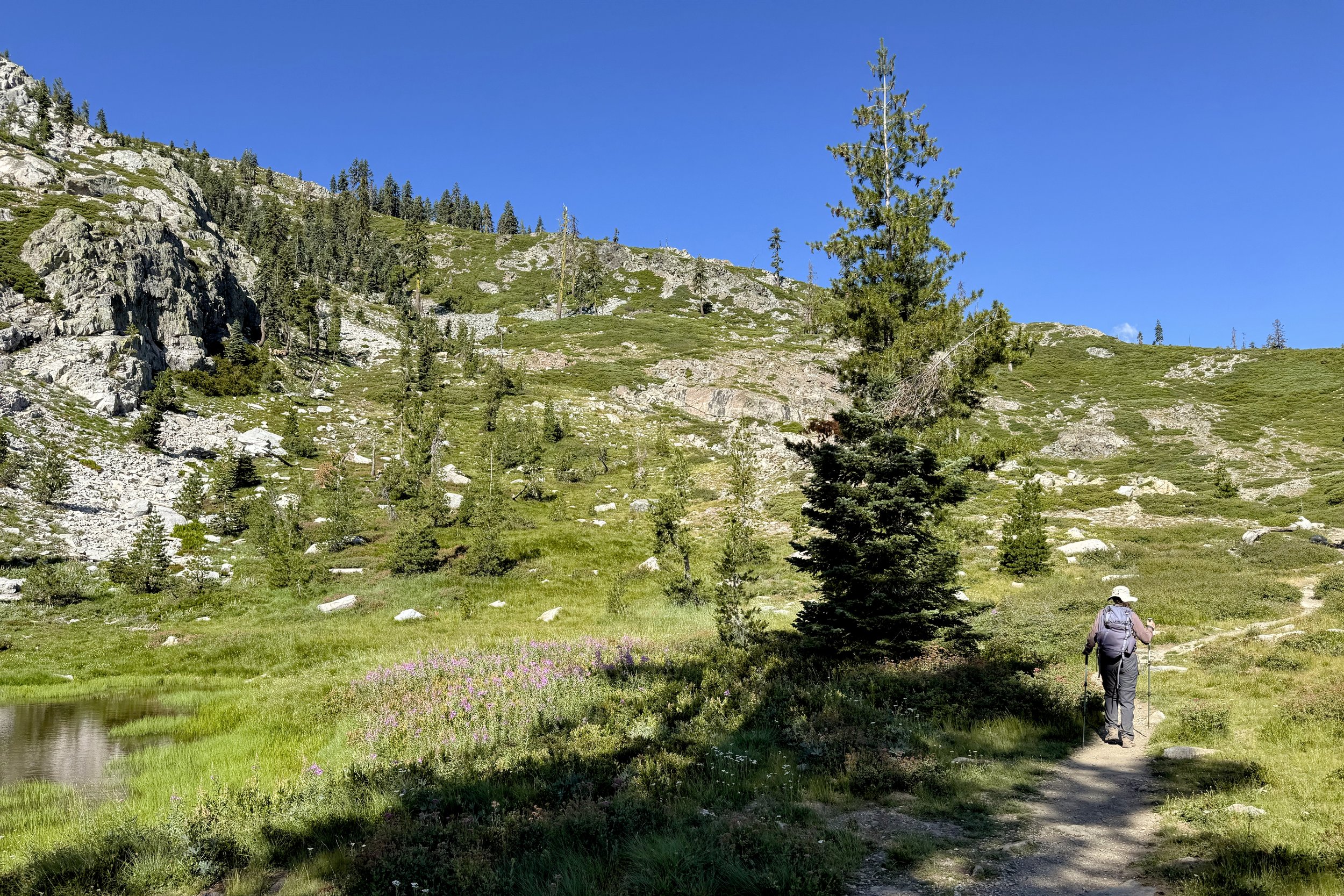 Path to ridge