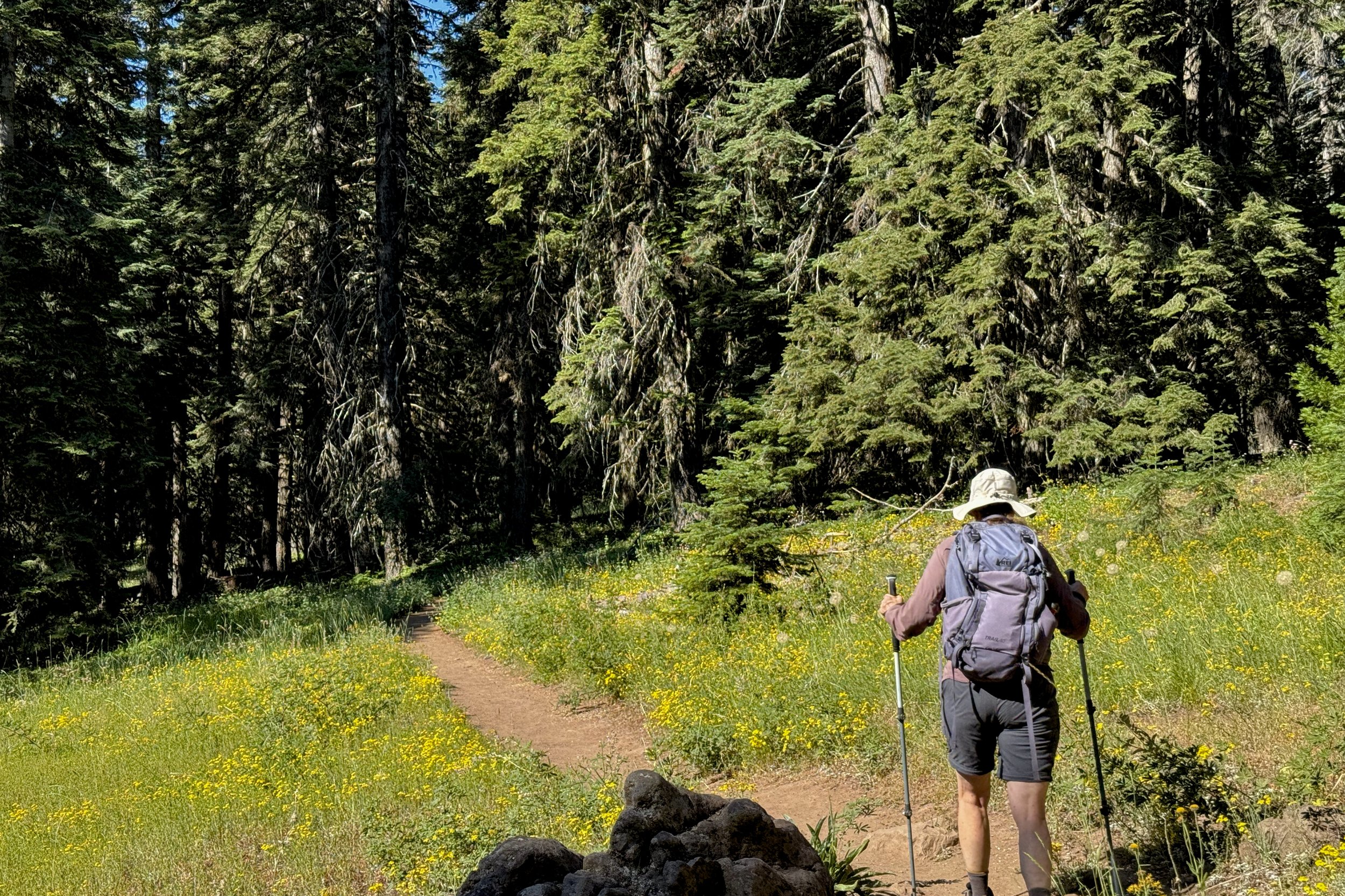 One of the meadows on Grizzly Peak