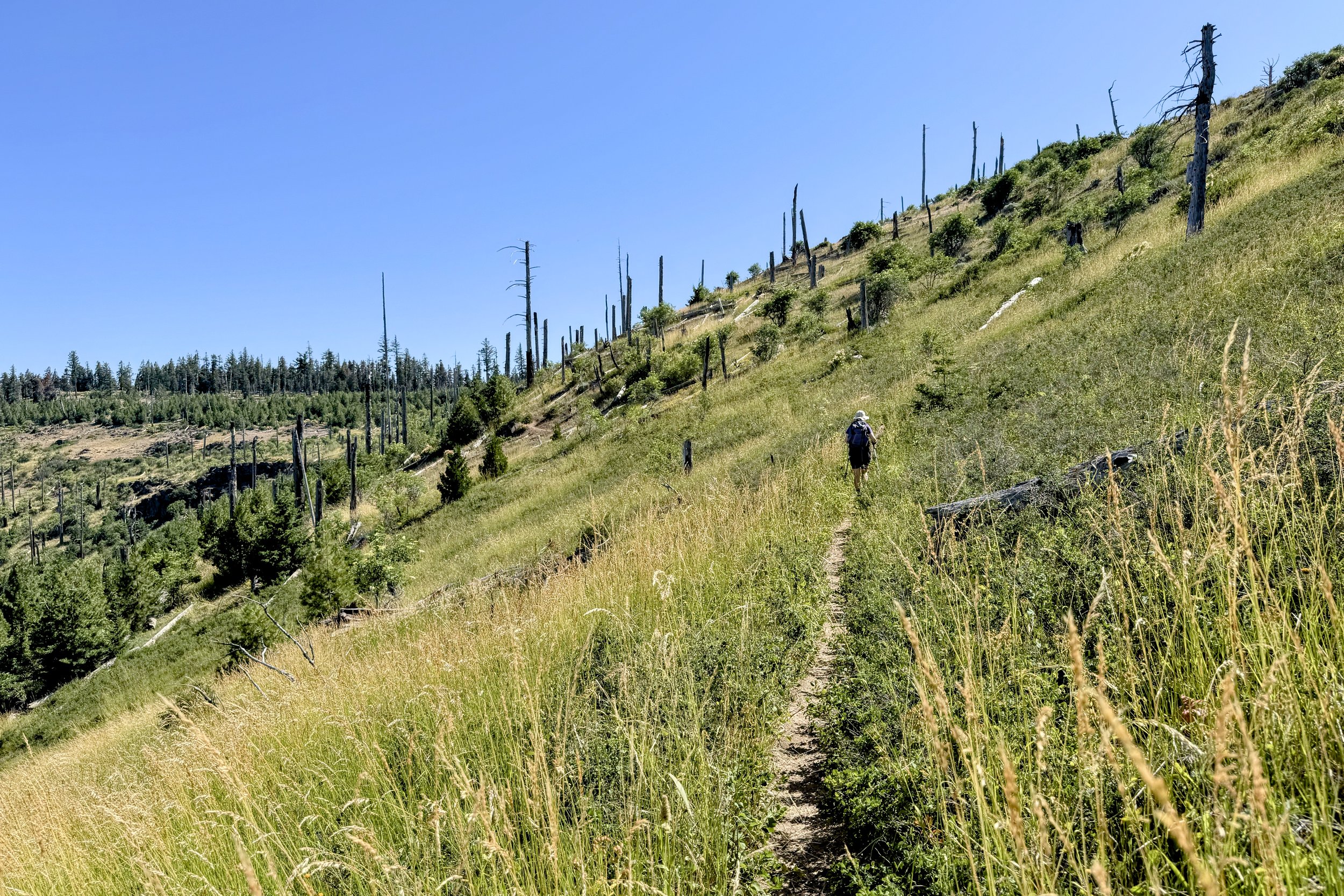 North side of Grizzly Peak