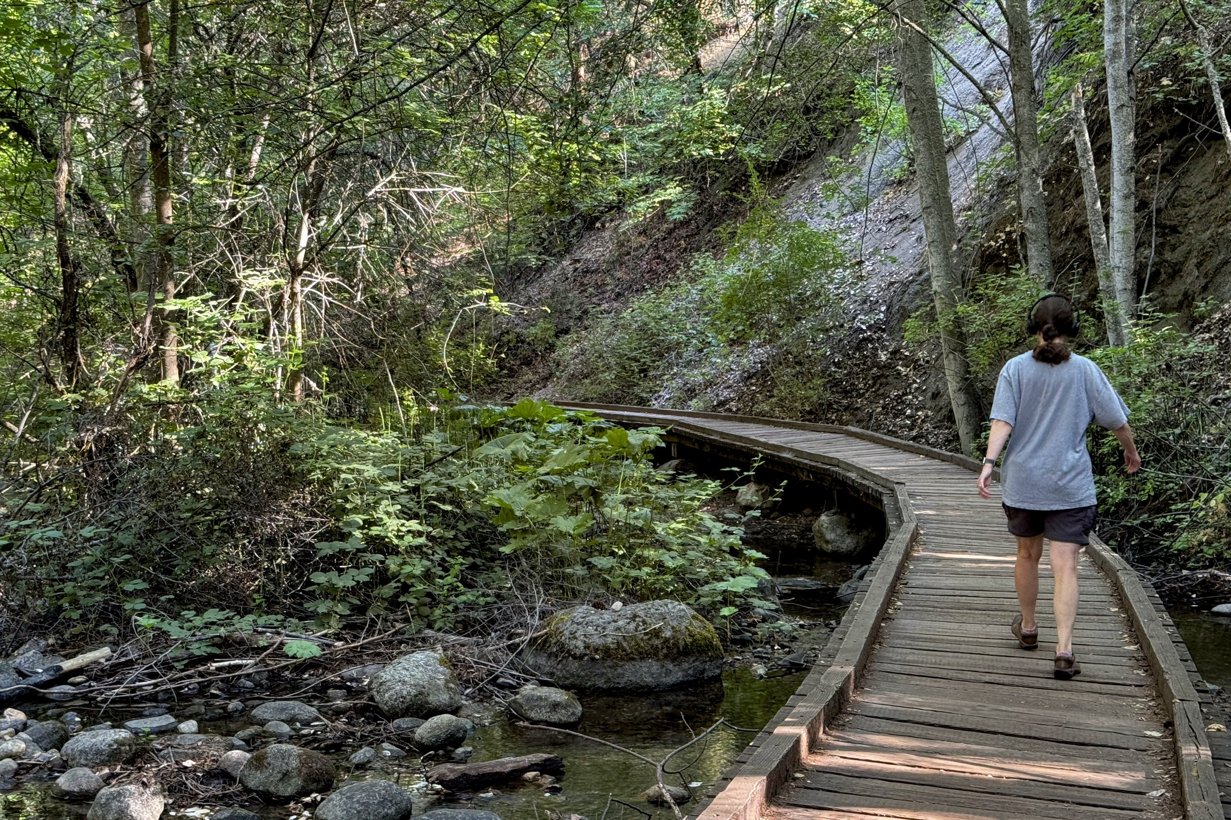 Boardwalk in Lithia Park