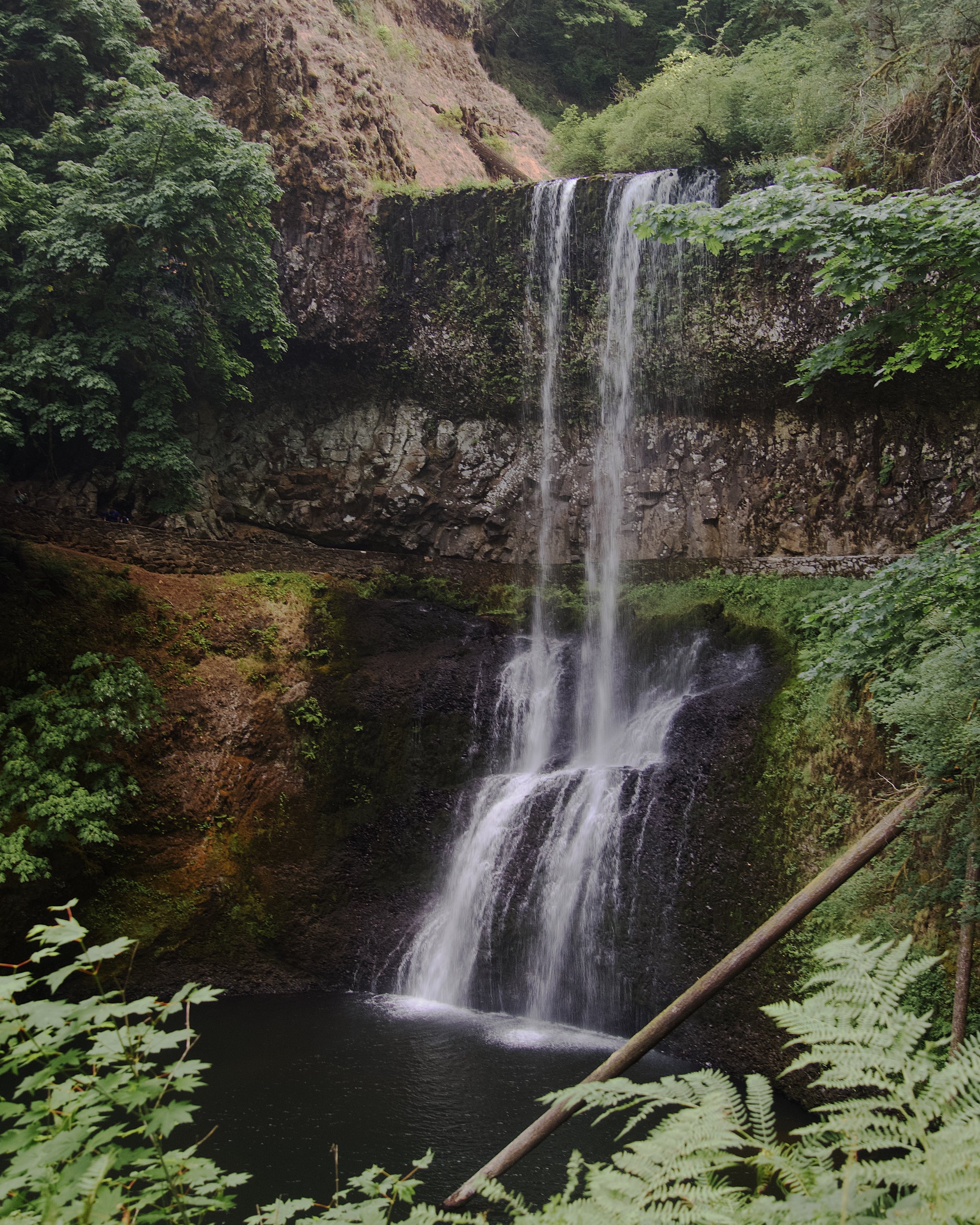 Lower South Falls
