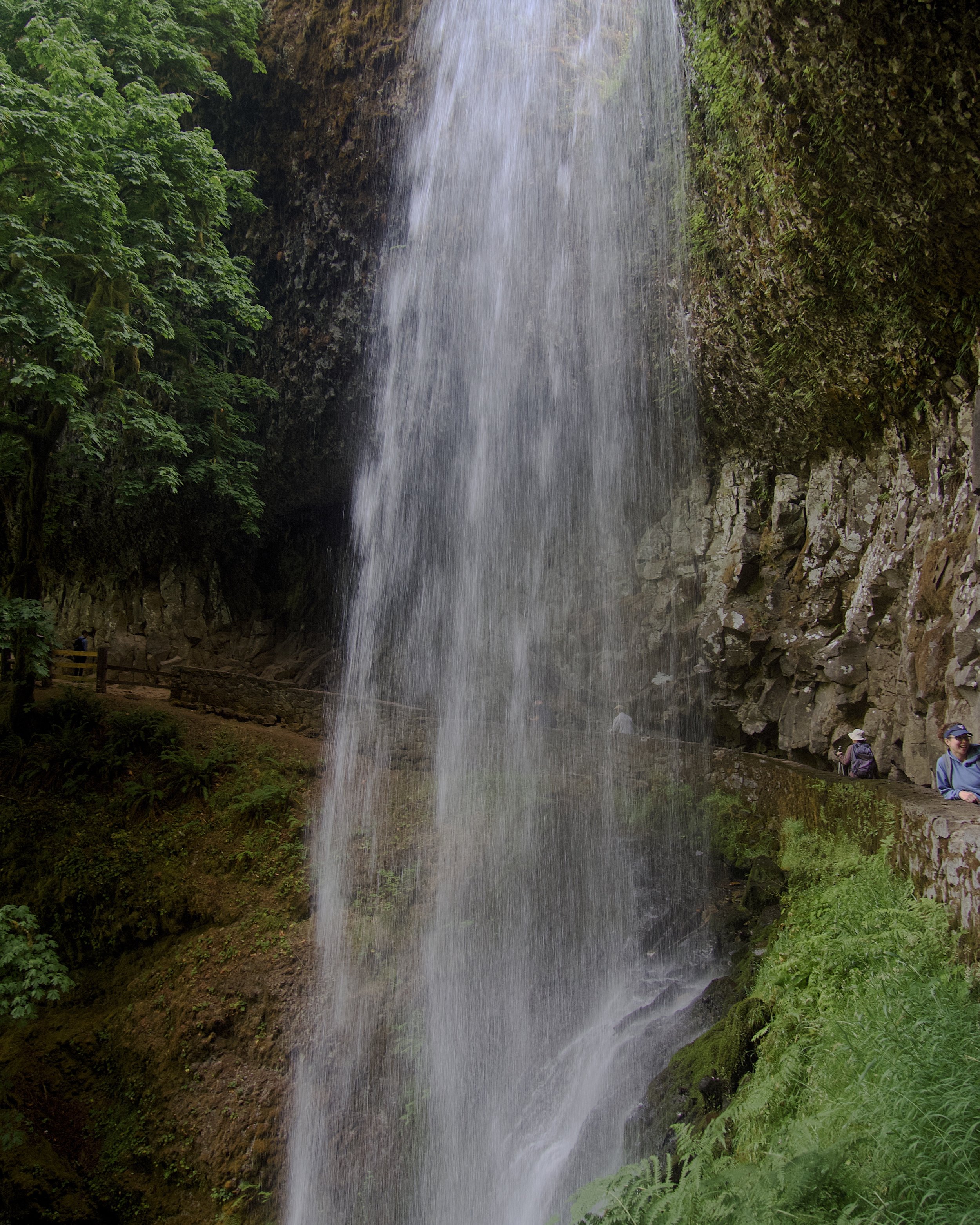 Lower South Falls