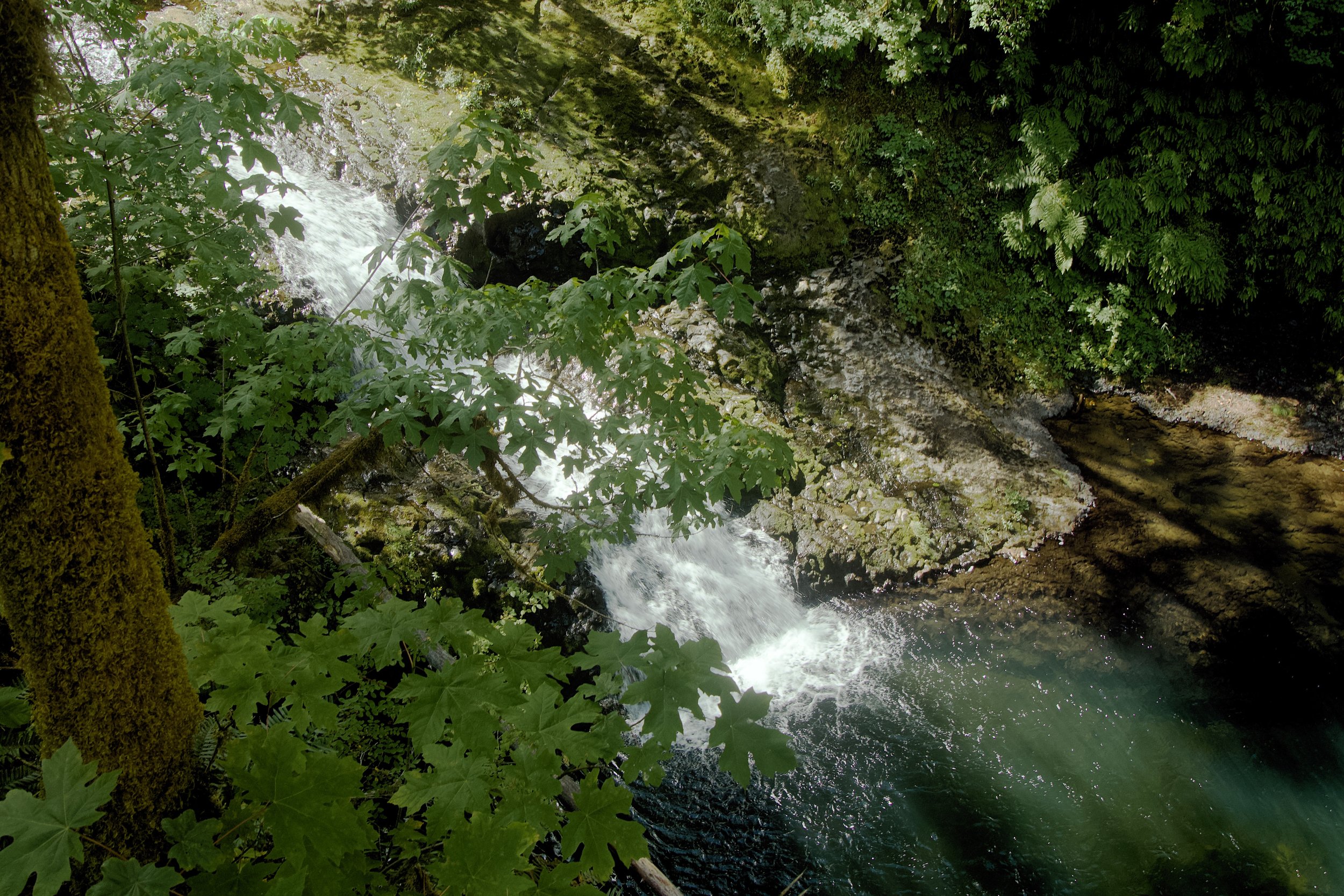 Drake's Falls