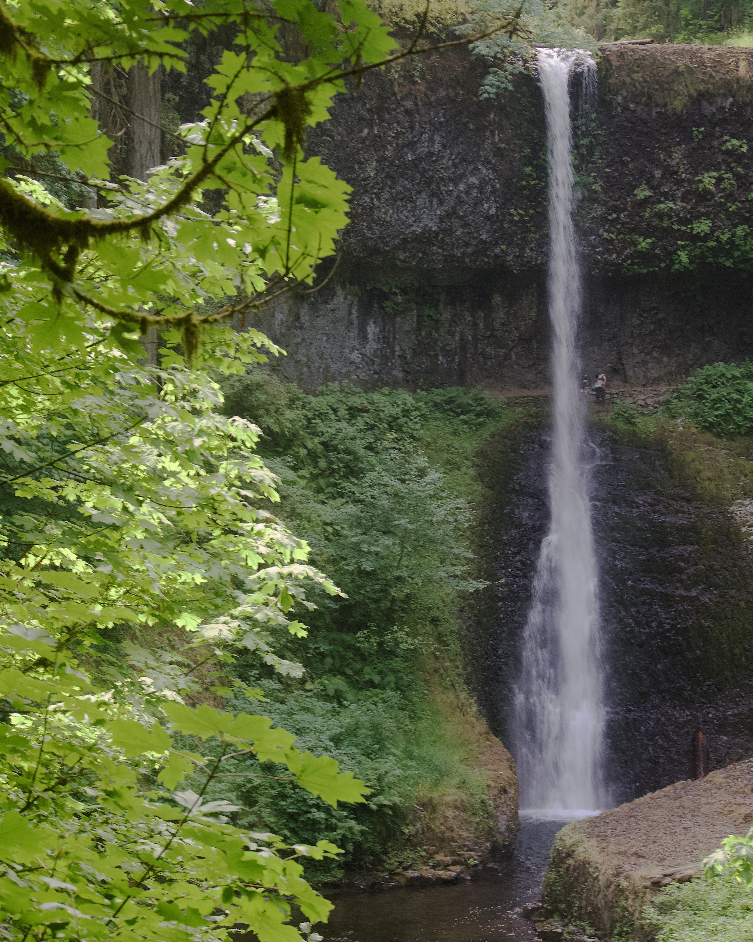 Middle North Falls