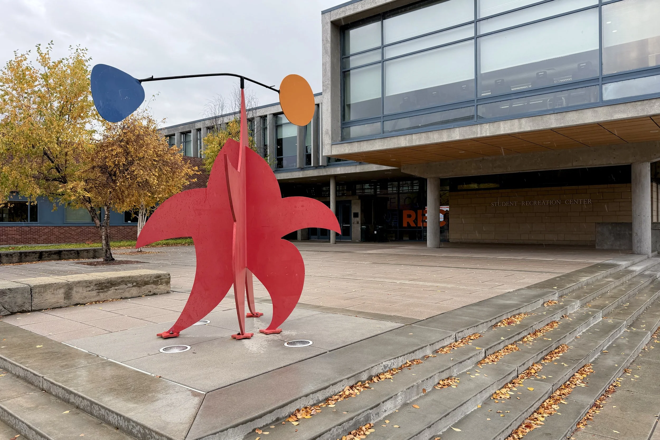 Rising Star, Robert Kantor