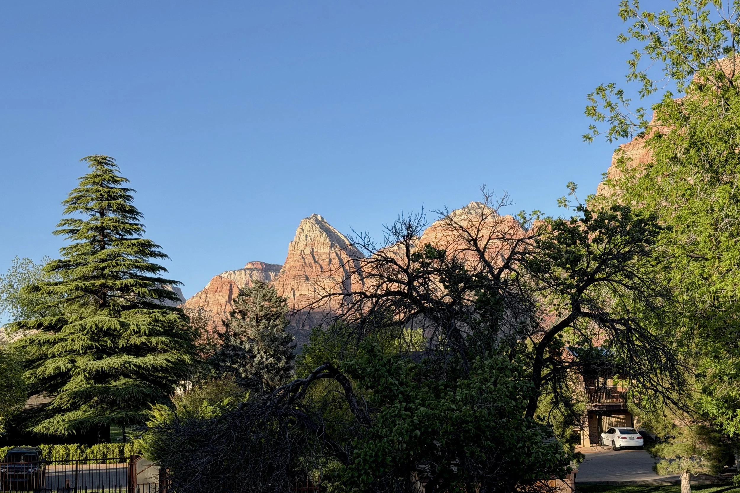 View from room