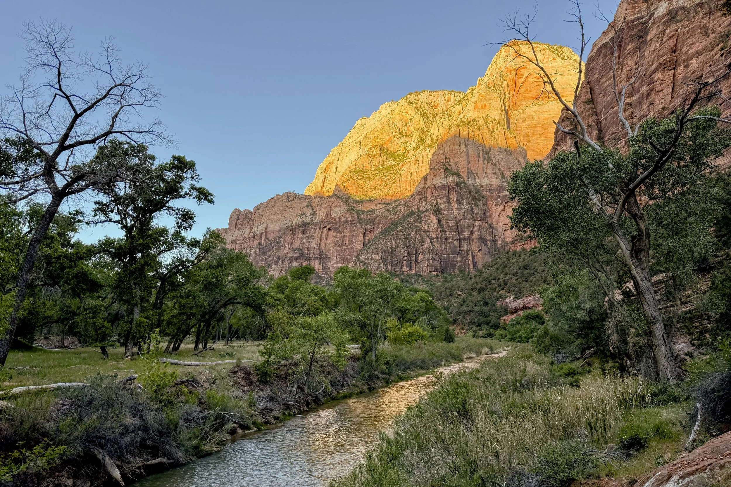 Morning sun in Zion Canyon