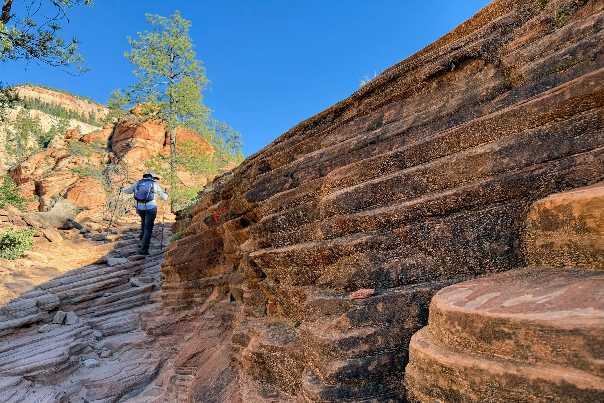West Rim Trail