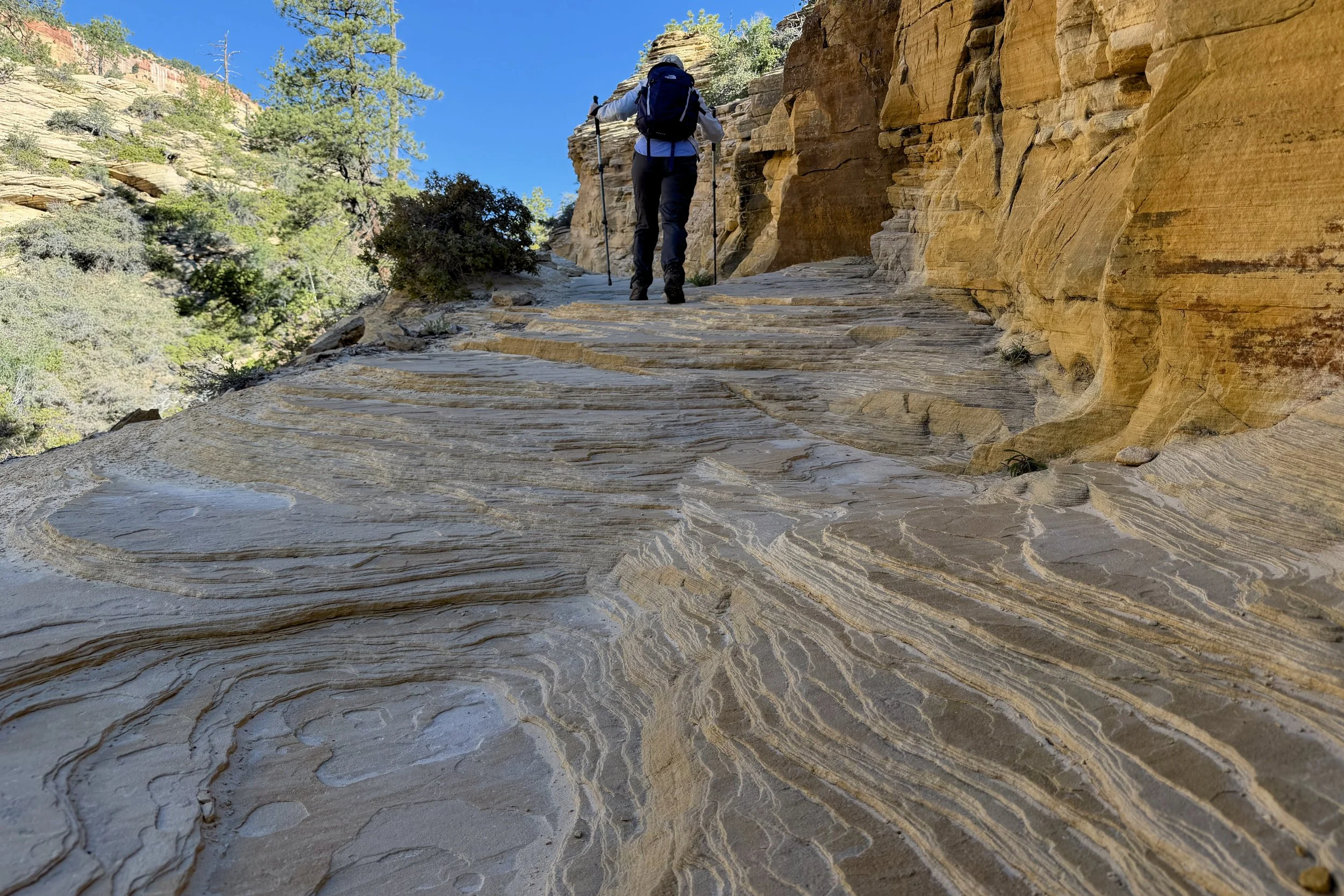 West Rim Trail