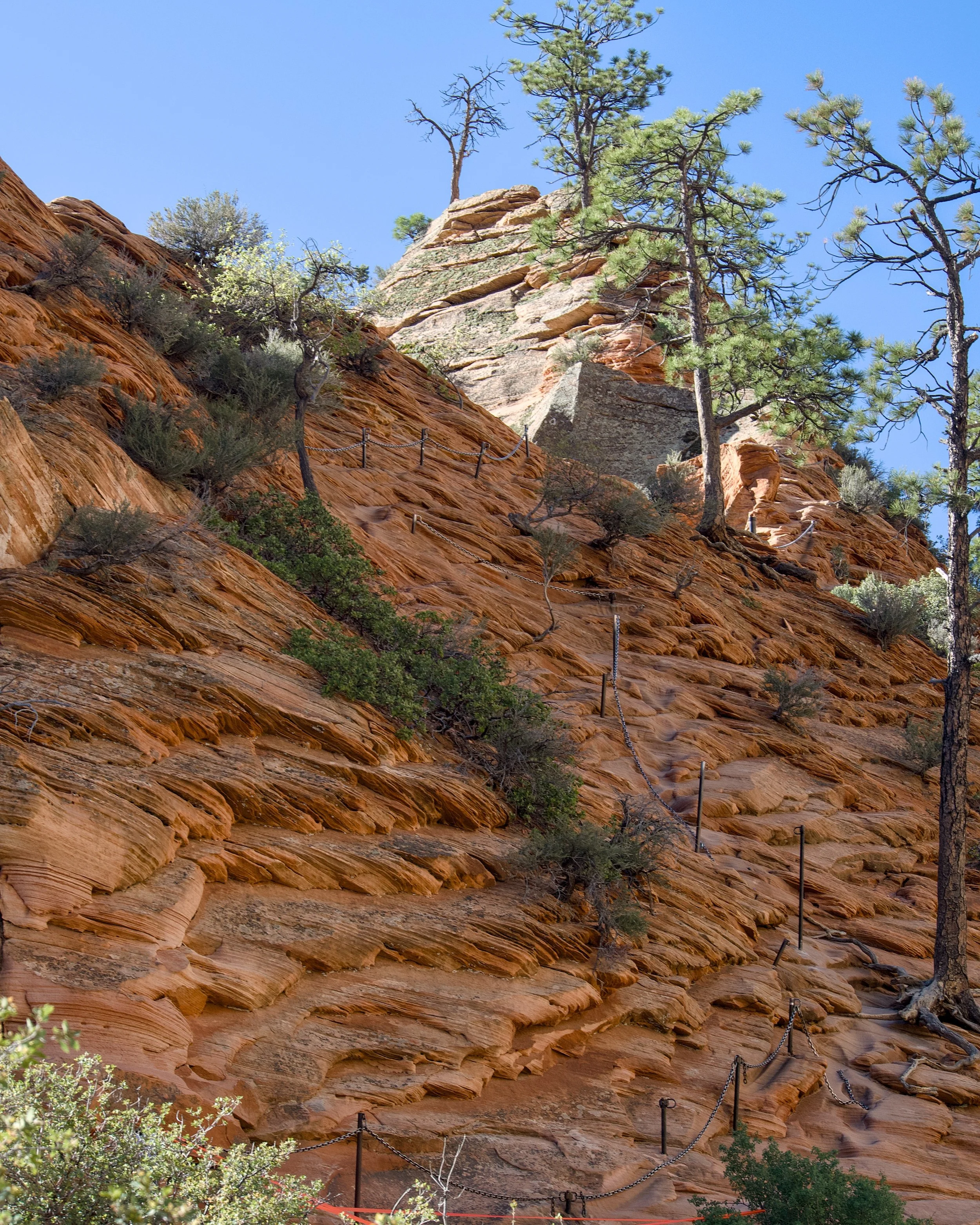 Chain on Angels Landing